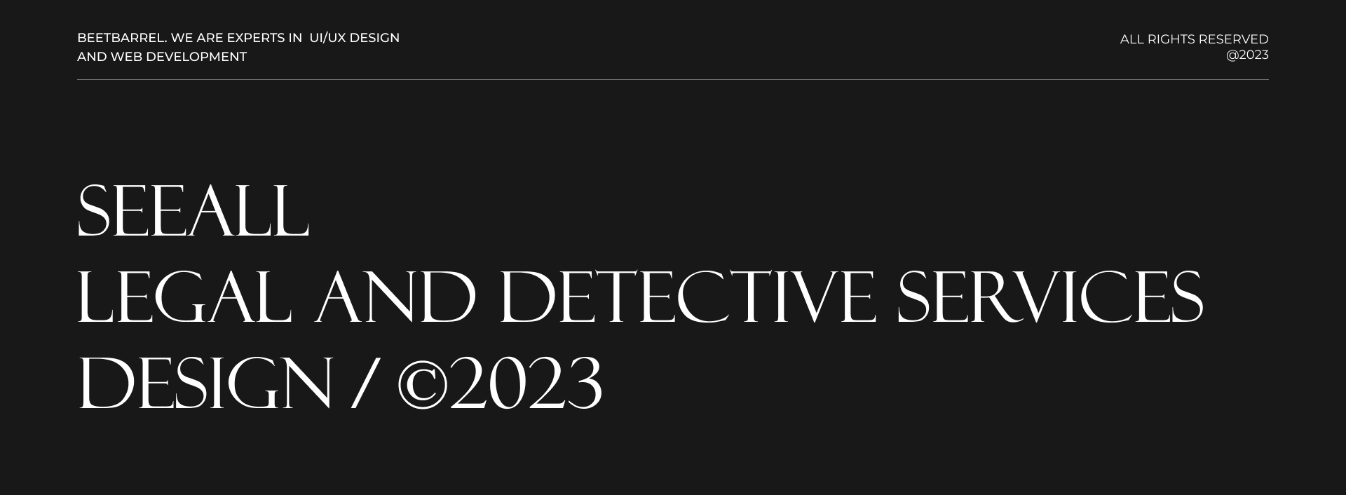 SEEALL Legal & Detective bureau — Изображение №1 — Интерфейсы, Брендинг на Dprofile