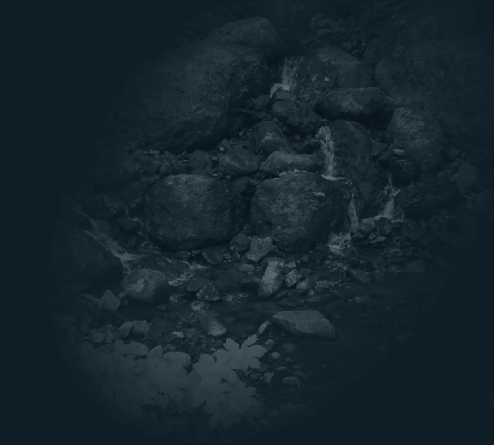 Ключ к истине — Изображение №2 — Брендинг, Промдизайн на Dprofile