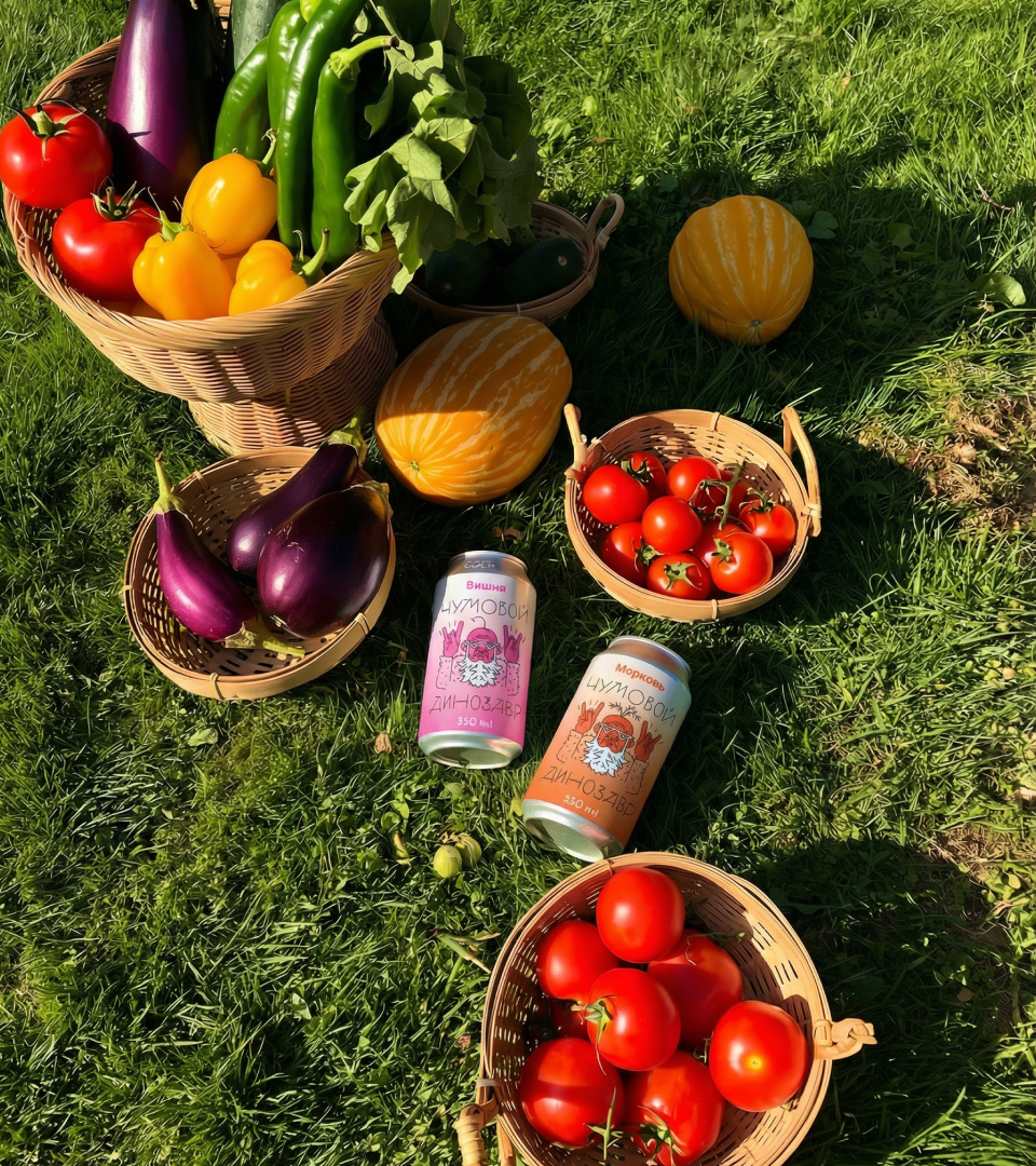 Упаковка шипучки «Чумовой Динозавр» — Изображение №11 — Брендинг, Иллюстрация на Dprofile