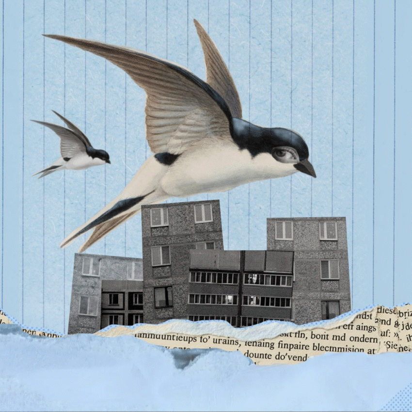 FEBRULLAGE 26 — Изображение №6 — Графика, Анимация на Dprofile