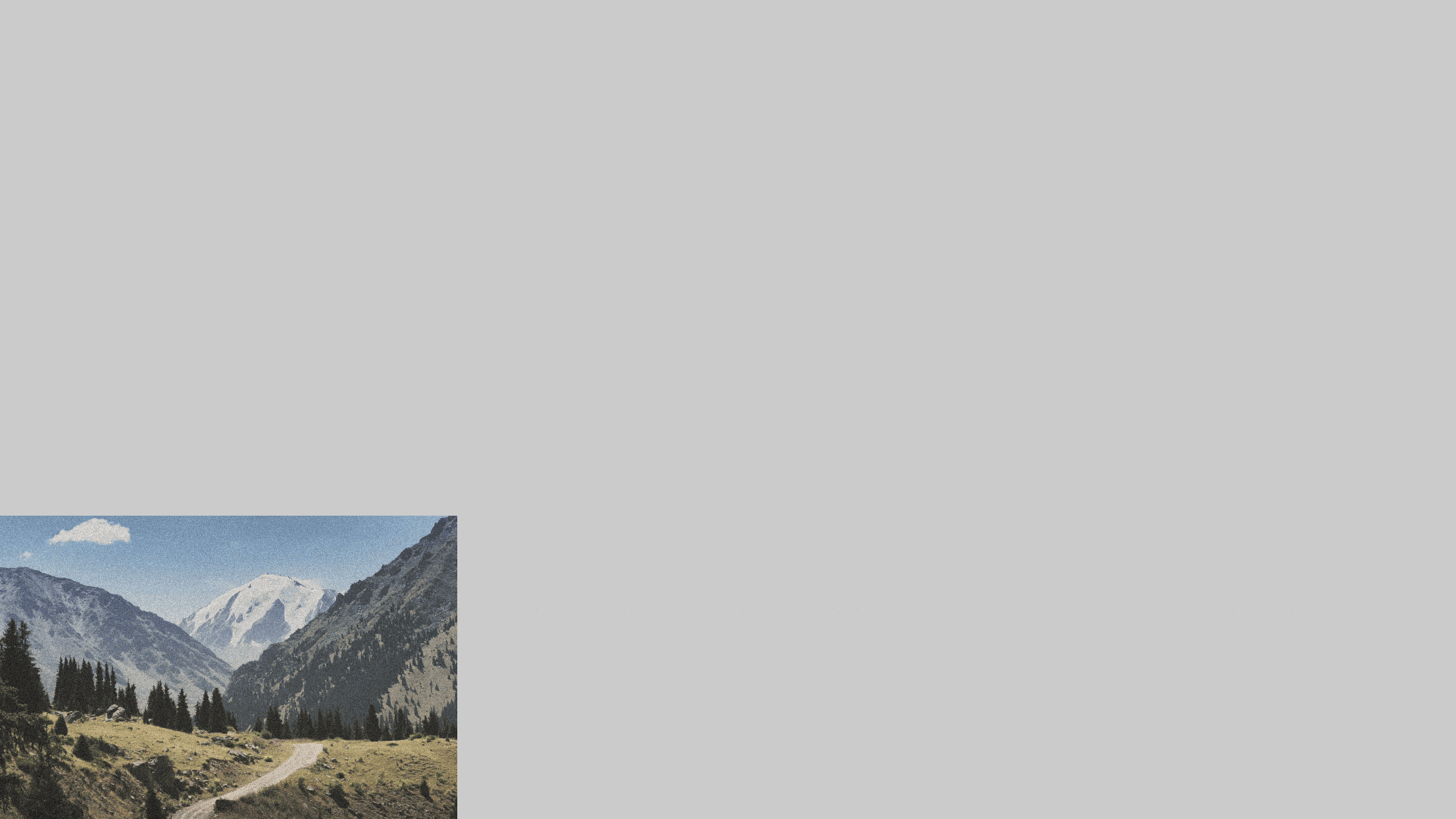 SKAUT — Изображение №12 — Брендинг на Dprofile