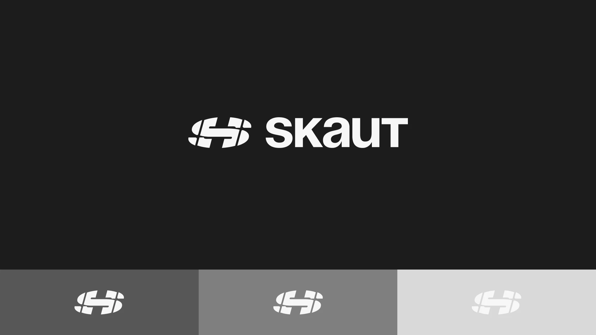 SKAUT — Изображение №5 — Брендинг на Dprofile