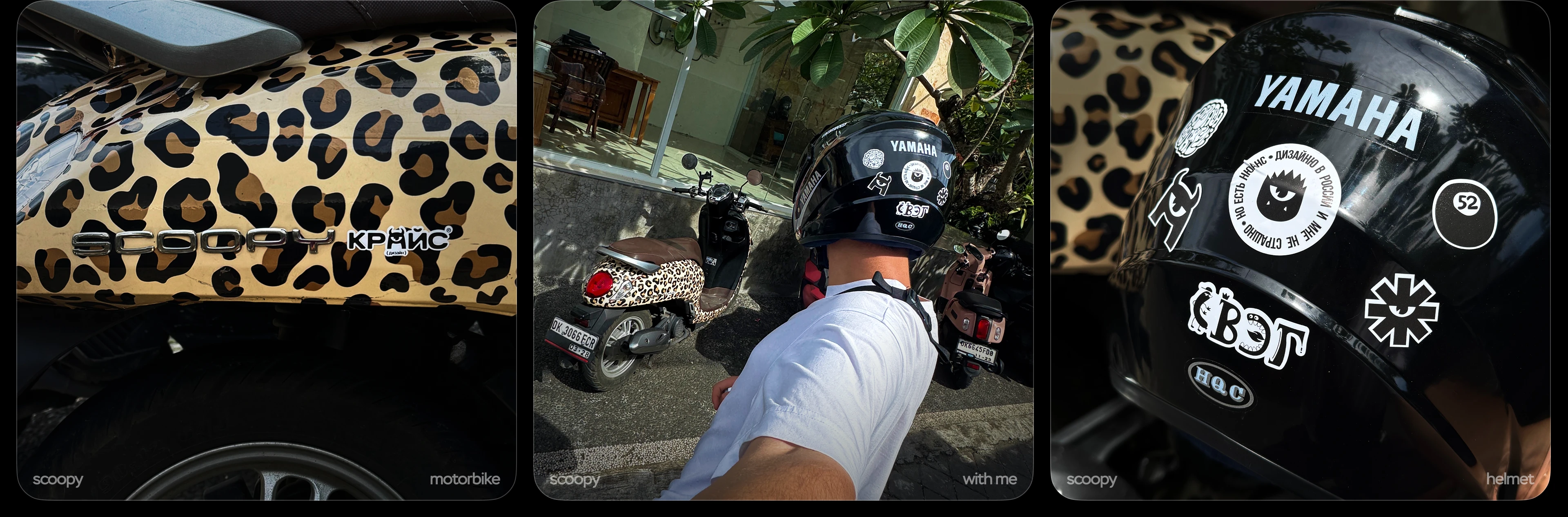 МЕРЧАК | Спецпроект — Изображение №8 — Брендинг, Графика на Dprofile