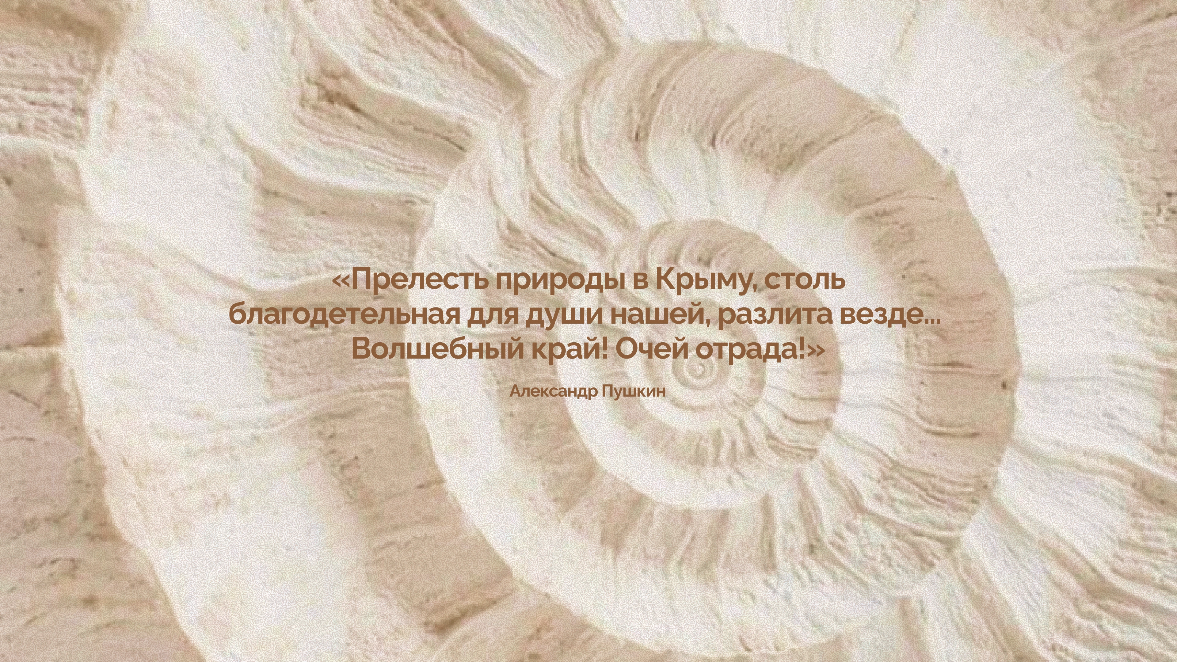 Terra Tavrida» — фирменный стиль для туристического агентства — Изображение №5 — Брендинг на Dprofile