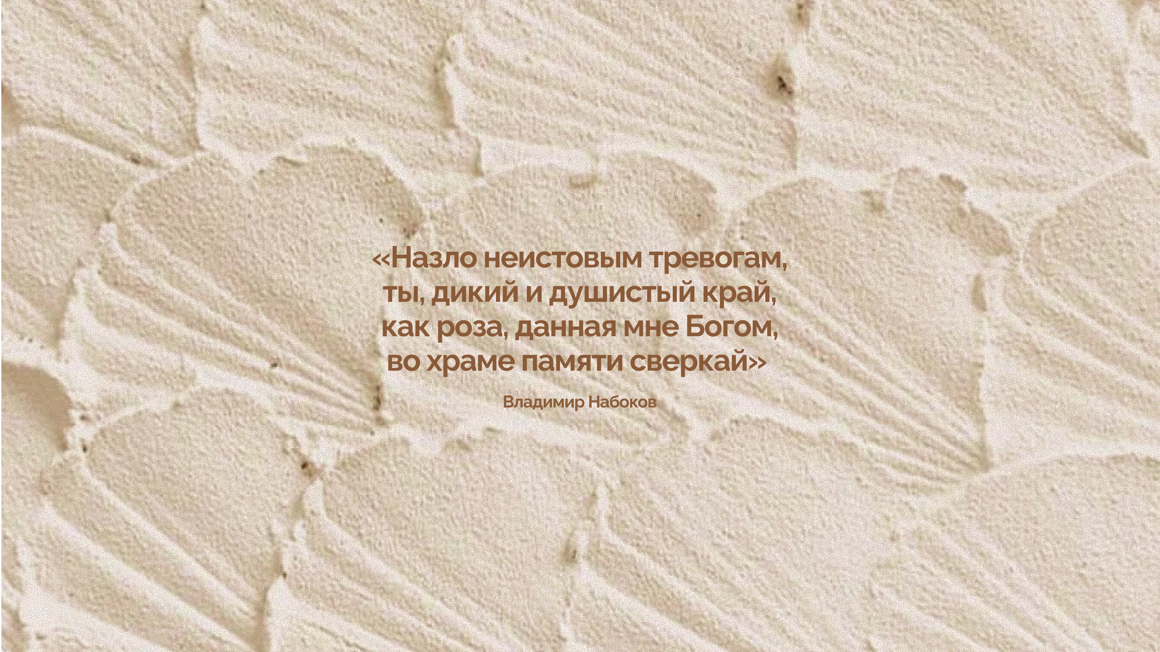 Terra Tavrida» — фирменный стиль для туристического агентства — Изображение №10 — Брендинг на Dprofile