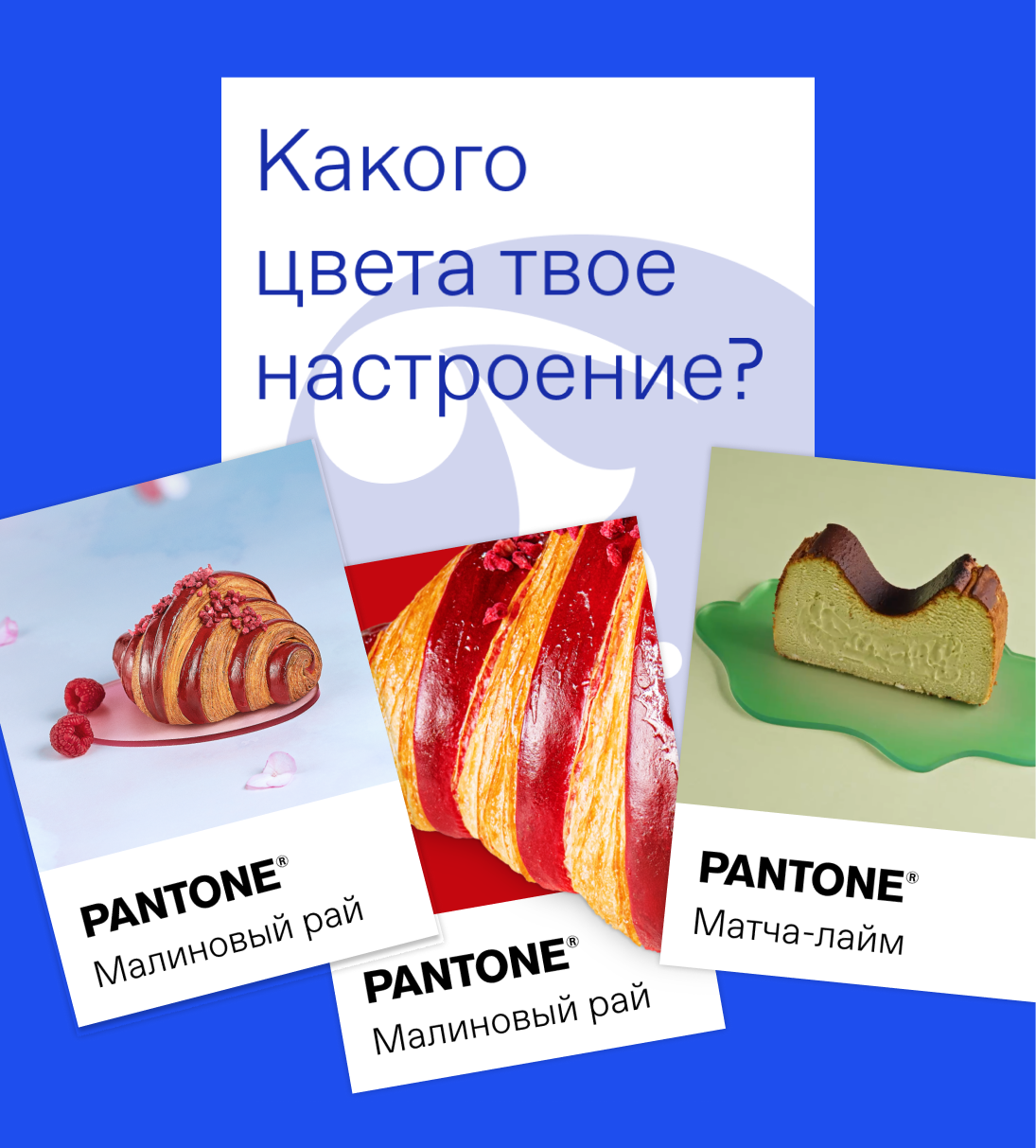 Дринкит. Промо приложения в ресторане — Изображение №31 — Графика, Анимация на Dprofile