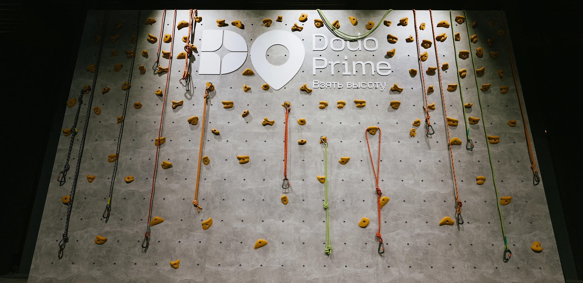 Dodo Prime 2026 — Изображение №13 — Брендинг, Иллюстрация на Dprofile