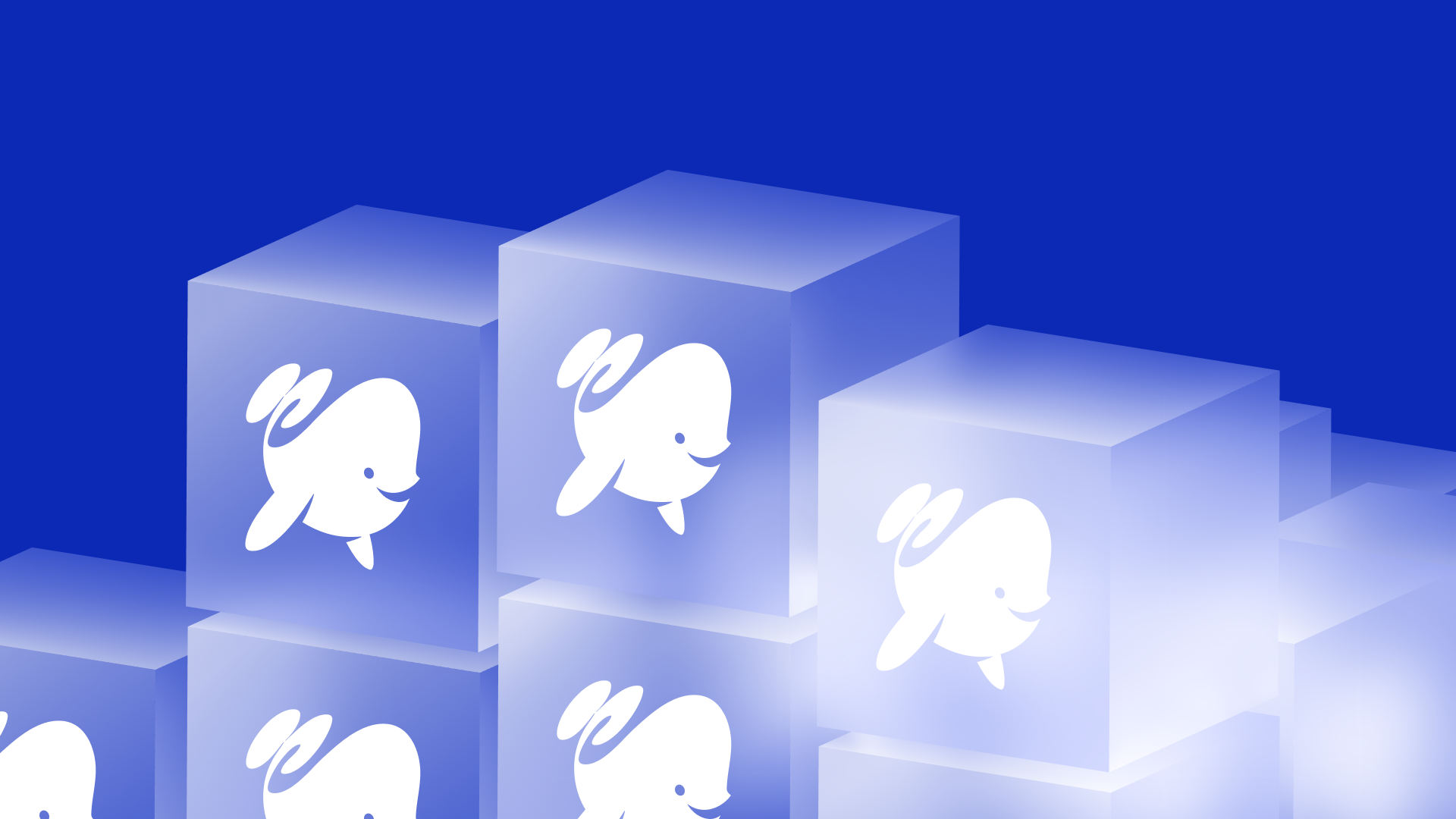 Съезд партнёров Дринкит 2025 — Изображение №18 — Брендинг, Анимация на Dprofile