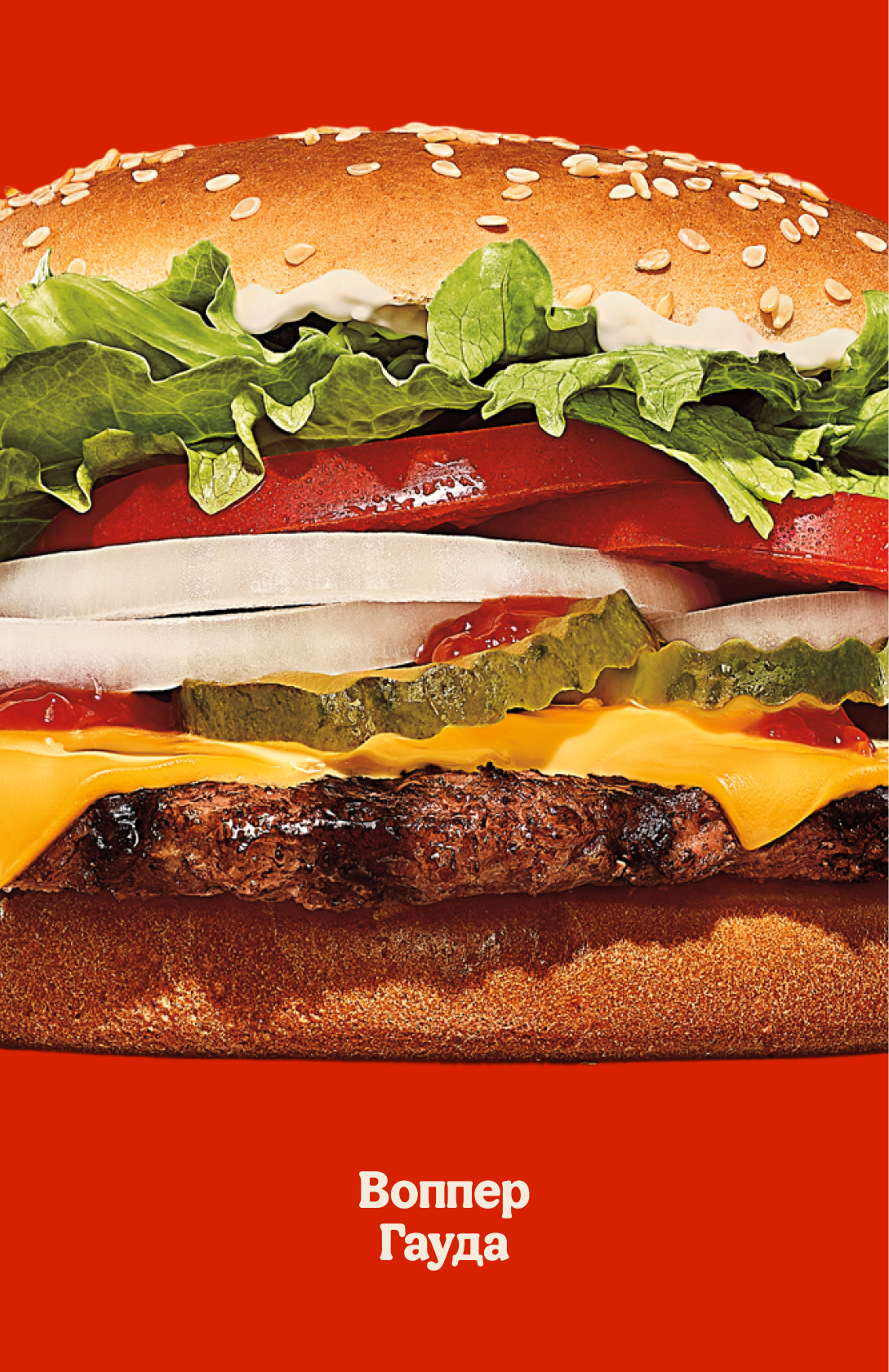 Burger King. Key visual и упаковка — Изображение №2 — Интерфейсы, Брендинг на Dprofile