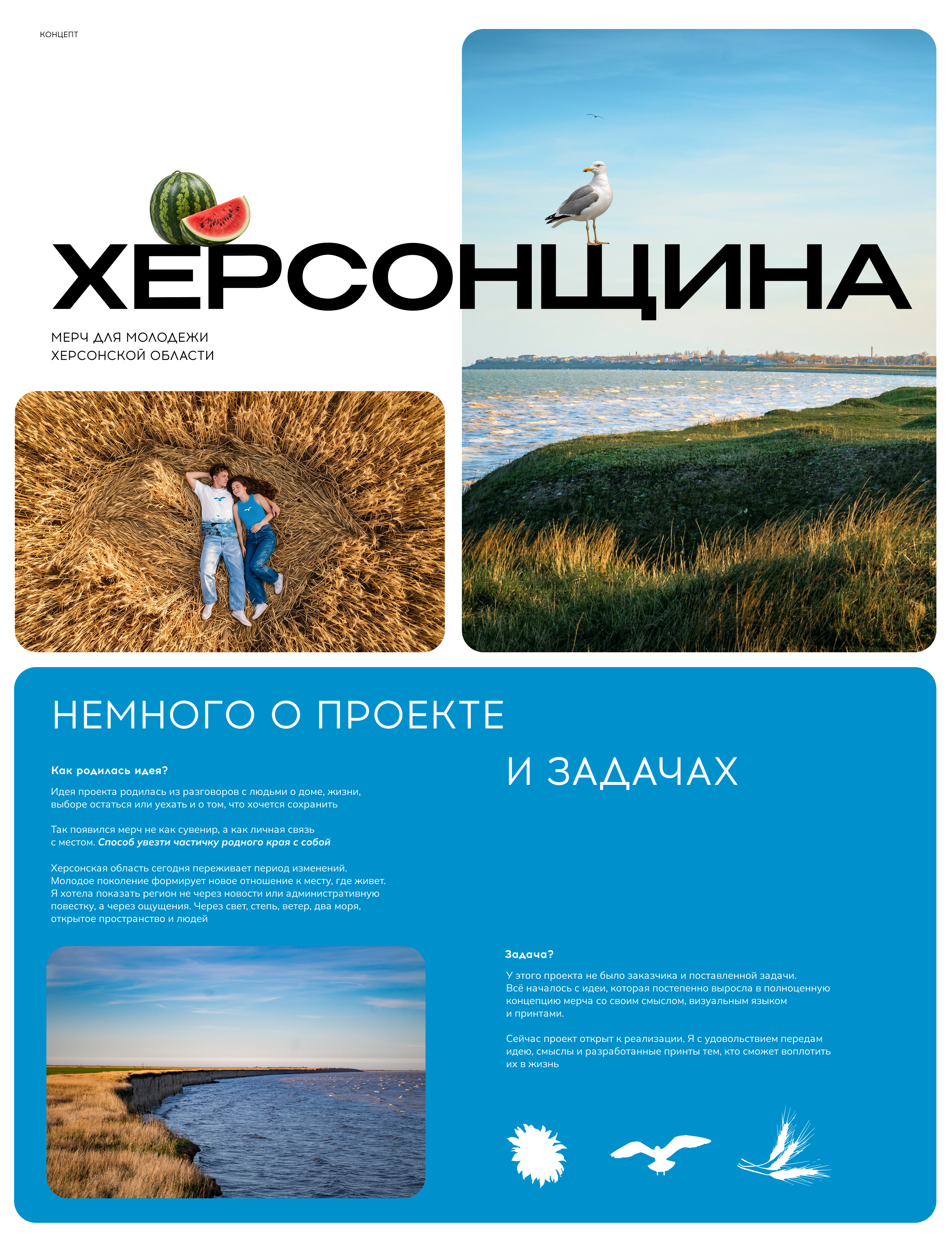 Мерч Херсонской области — Изображение №1 — Брендинг, Иллюстрация на Dprofile