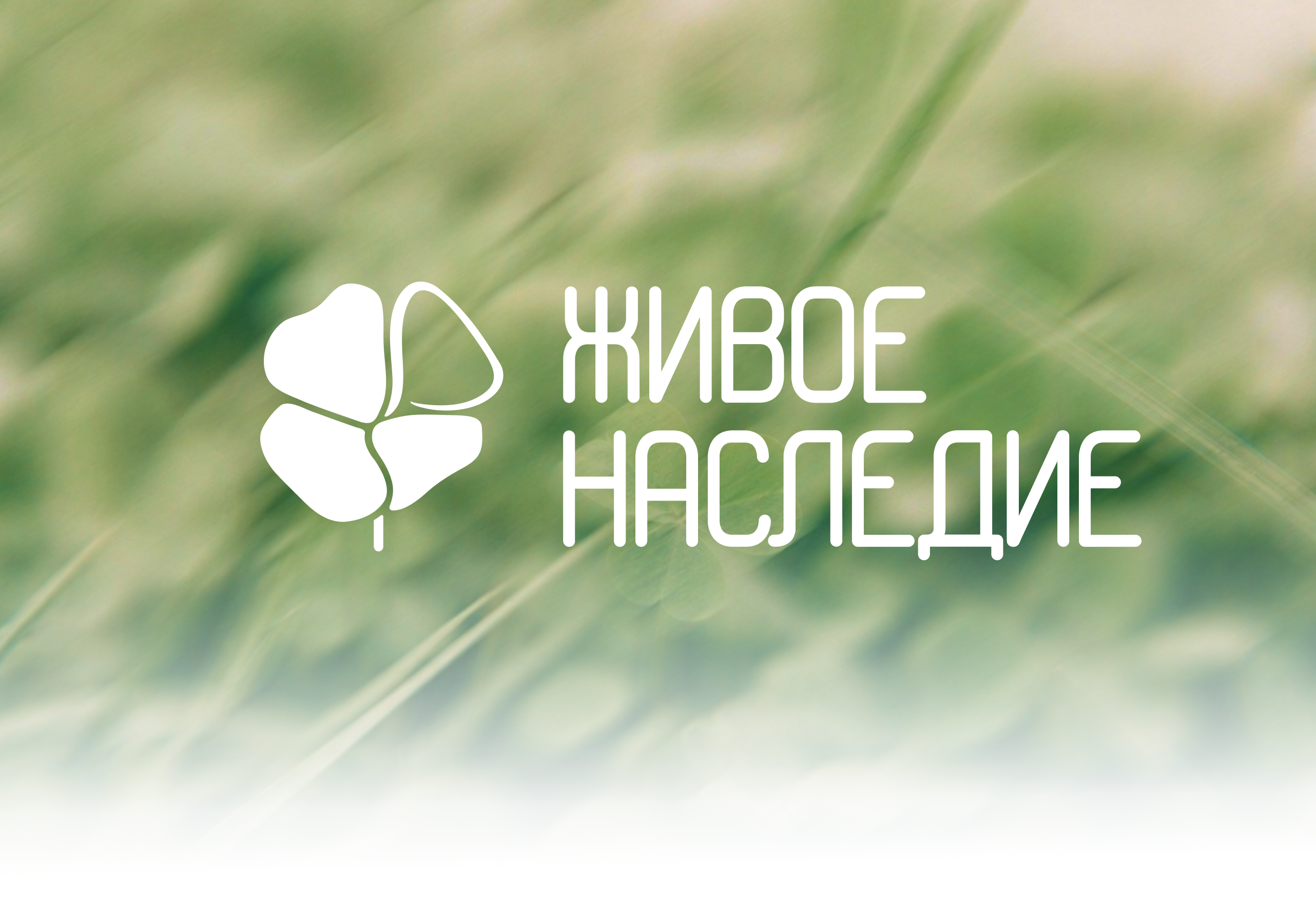 Мерч «Живое наследие» — Изображение №1 — Брендинг на Dprofile