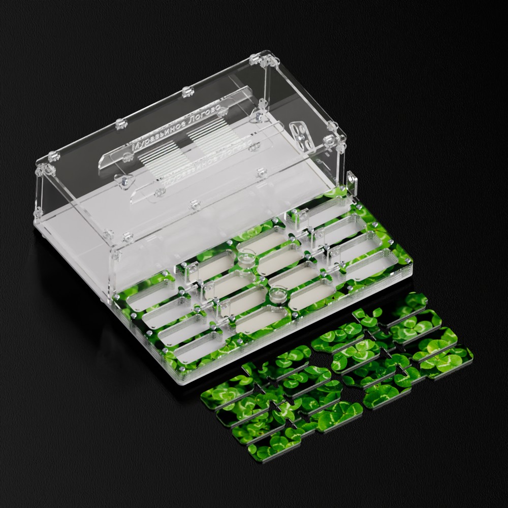 Муравьиное логово — Изображение №3 — 3D, Анимация на Dprofile