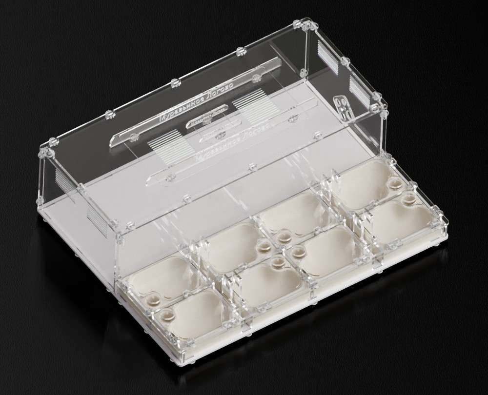 Муравьиное логово на Dprofile