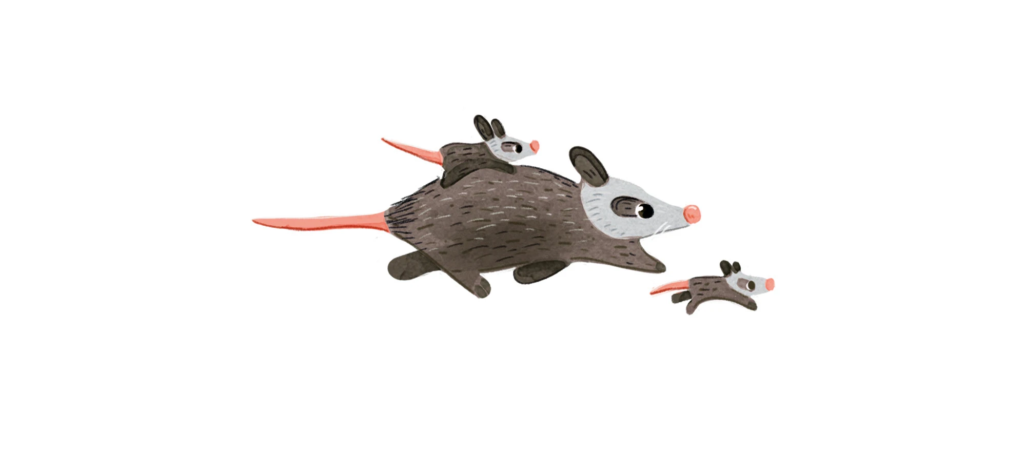 Иллюстрации к детской книге «Как кенгуренок стал пожарным!» — Изображение №3 — Иллюстрация на Dprofile