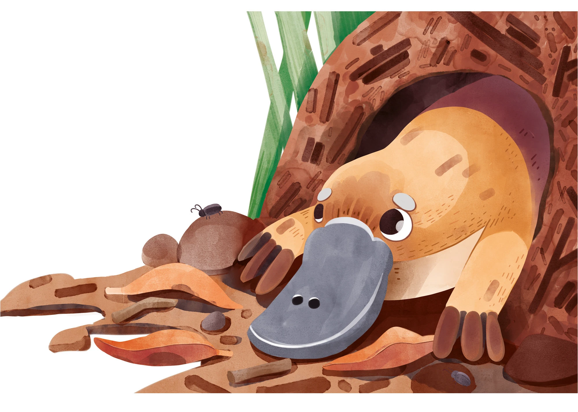 Иллюстрации к детской книге «Как кенгуренок стал пожарным!» — Изображение №7 — Иллюстрация на Dprofile