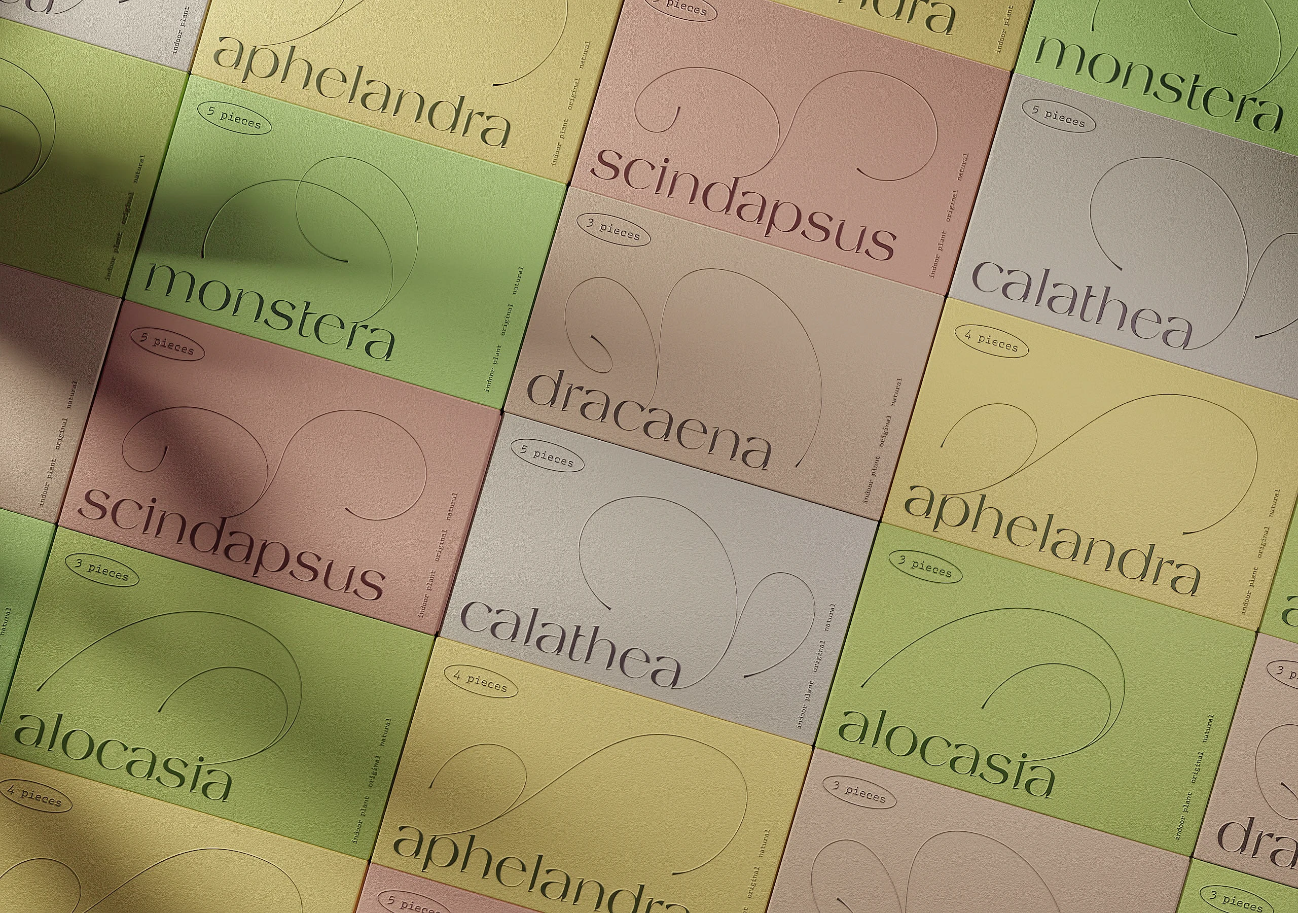 Seedline | упаковка семян — Изображение №6 — Брендинг, Графика на Dprofile