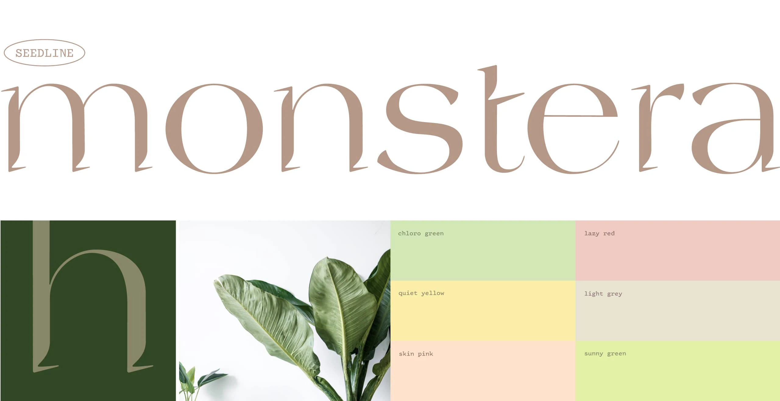 Seedline | упаковка семян — Изображение №7 — Брендинг, Графика на Dprofile