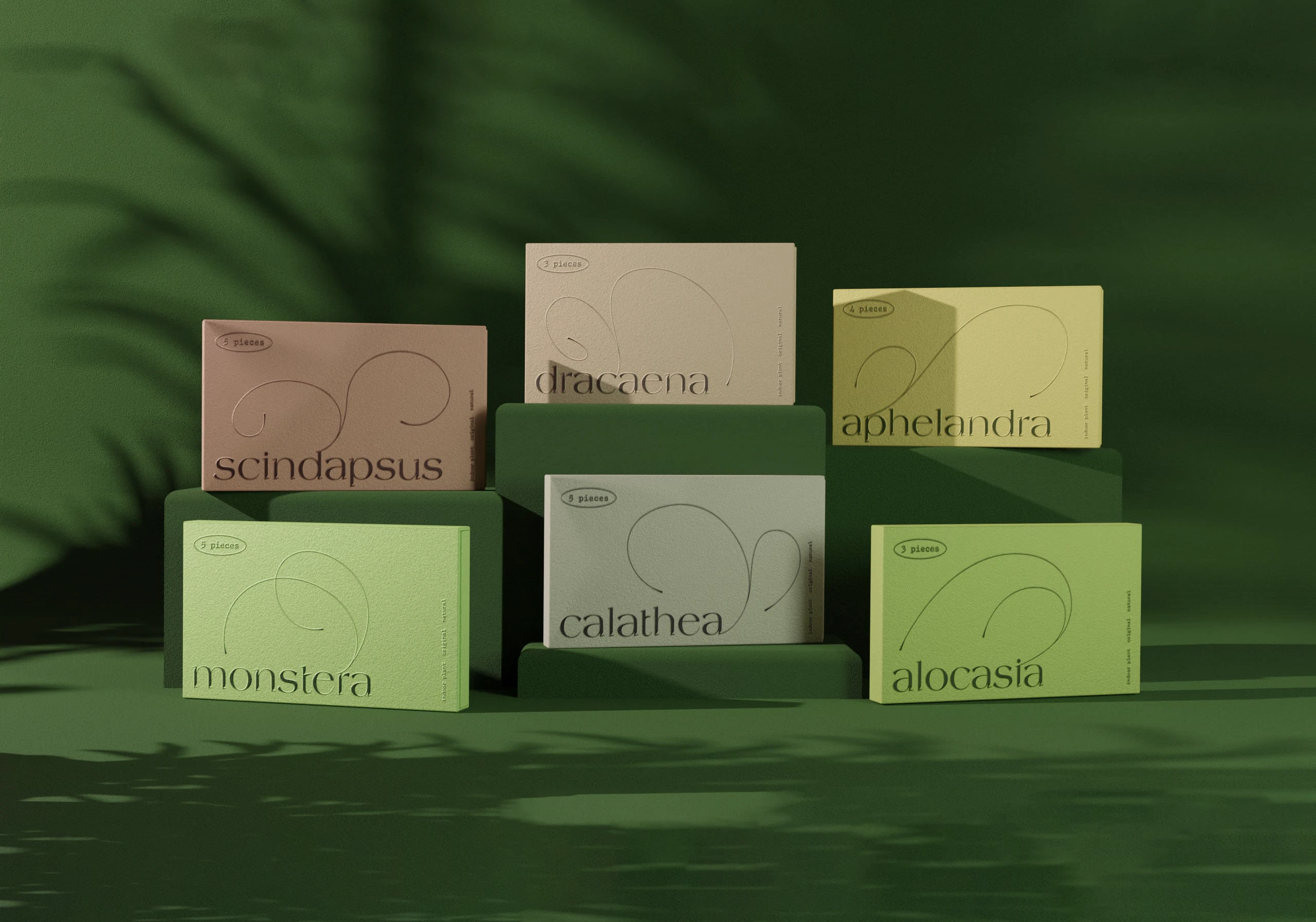 Seedline | упаковка семян — Изображение №3 — Брендинг, Графика на Dprofile