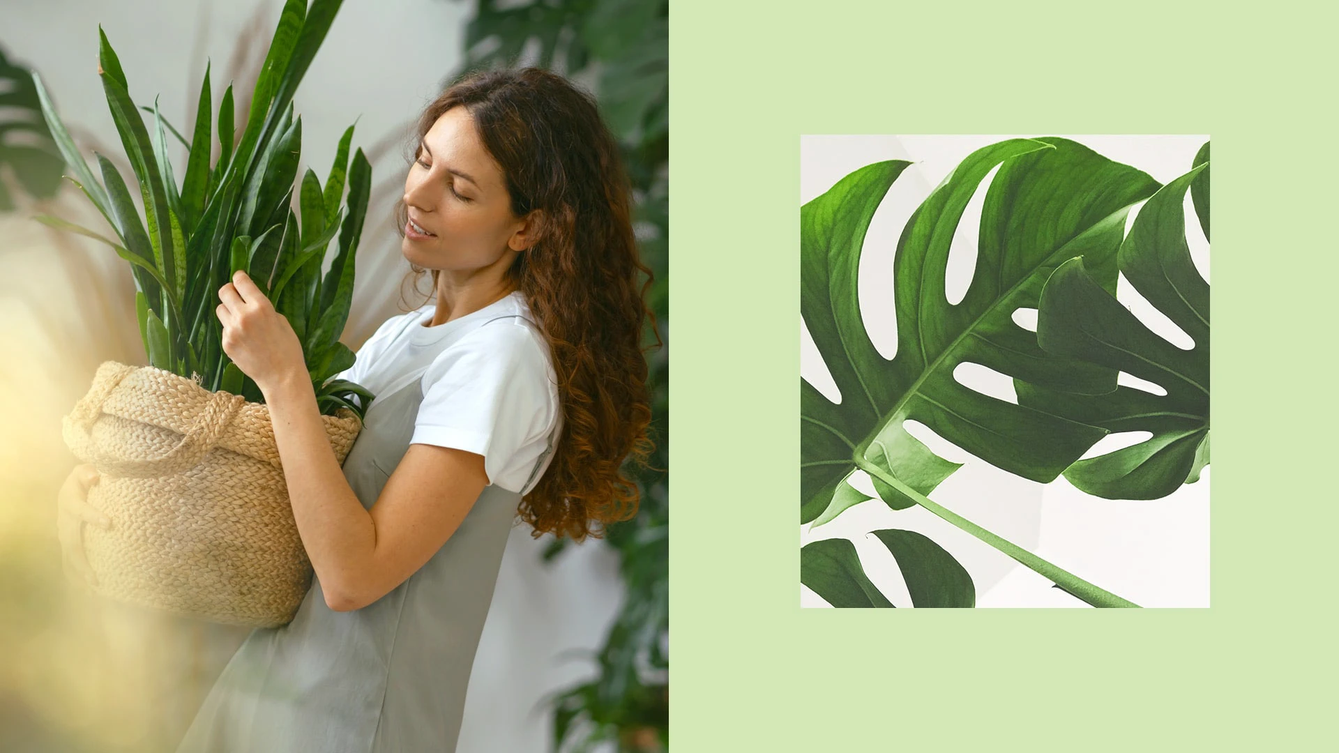 Seedline | упаковка семян — Изображение №5 — Брендинг, Графика на Dprofile