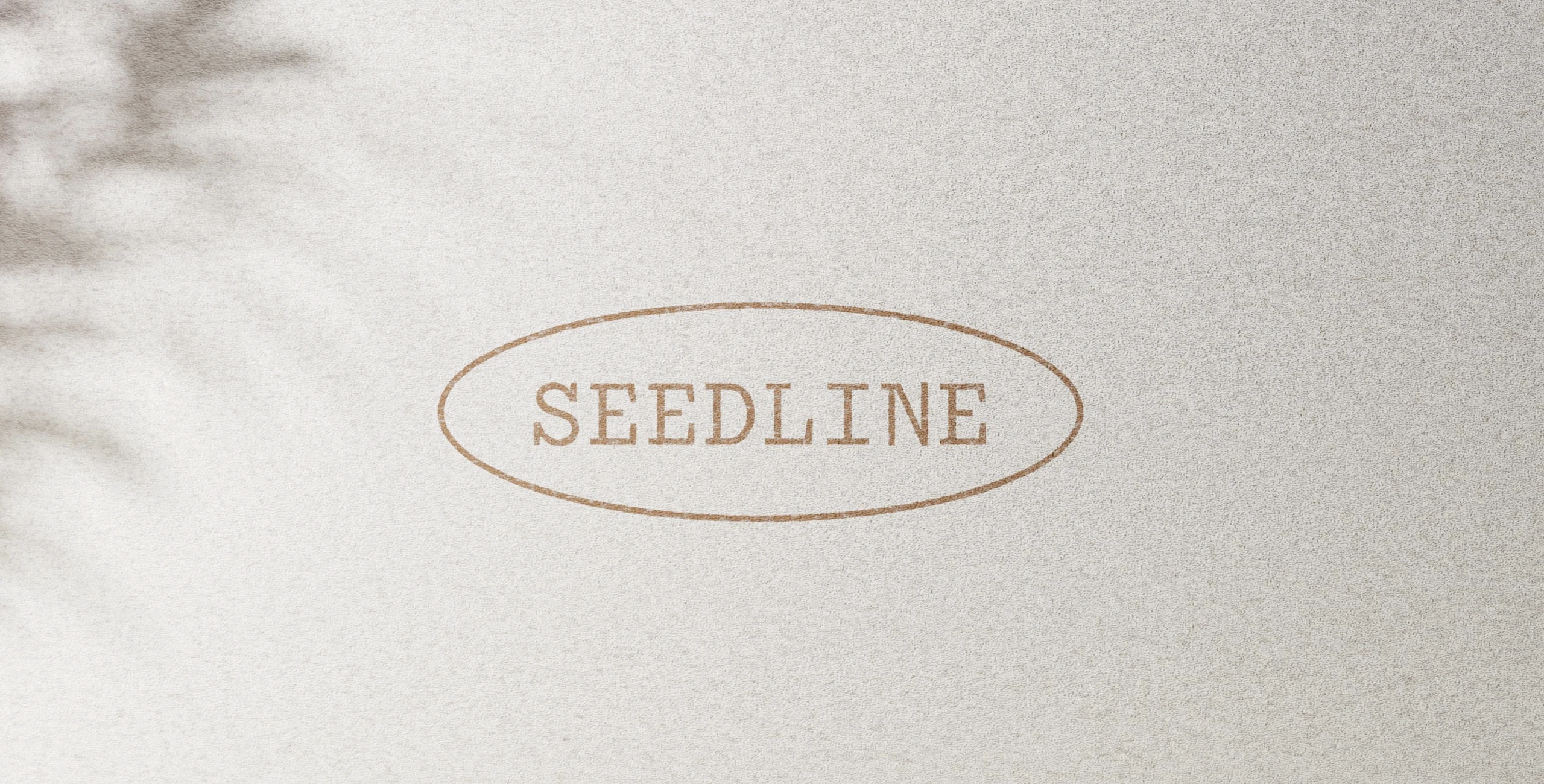 Seedline | упаковка семян — Изображение №2 — Брендинг, Графика на Dprofile