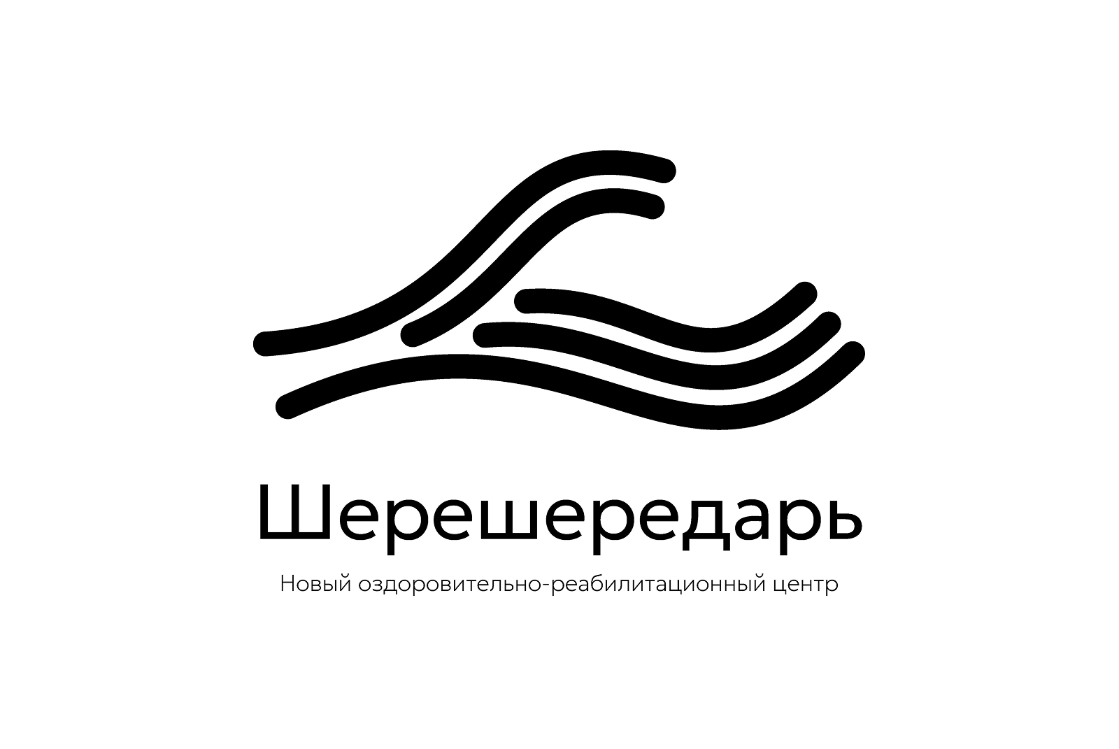 Создание фирменного стиля для лагеря «Шерешередарь» — Изображение №1 — Брендинг на Dprofile