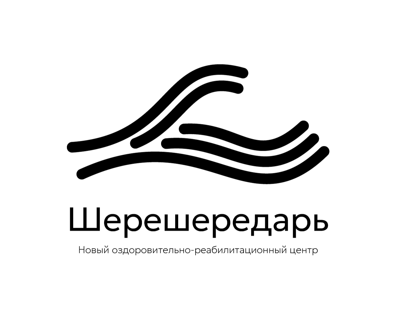 Создание фирменного стиля для лагеря «Шерешередарь» на Dprofile