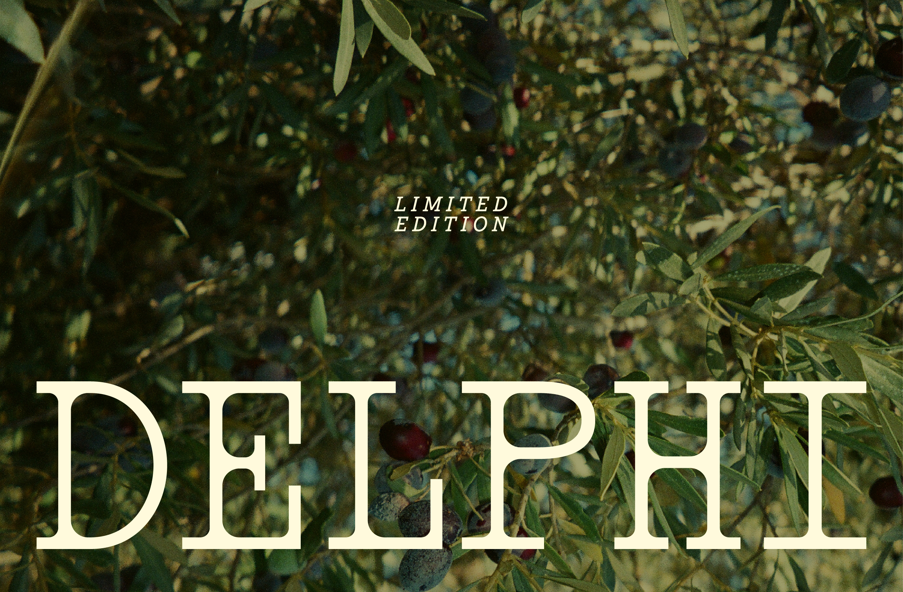 Упаковка оливкового масла "Delphi" — Изображение №10 — Брендинг, Графика на Dprofile