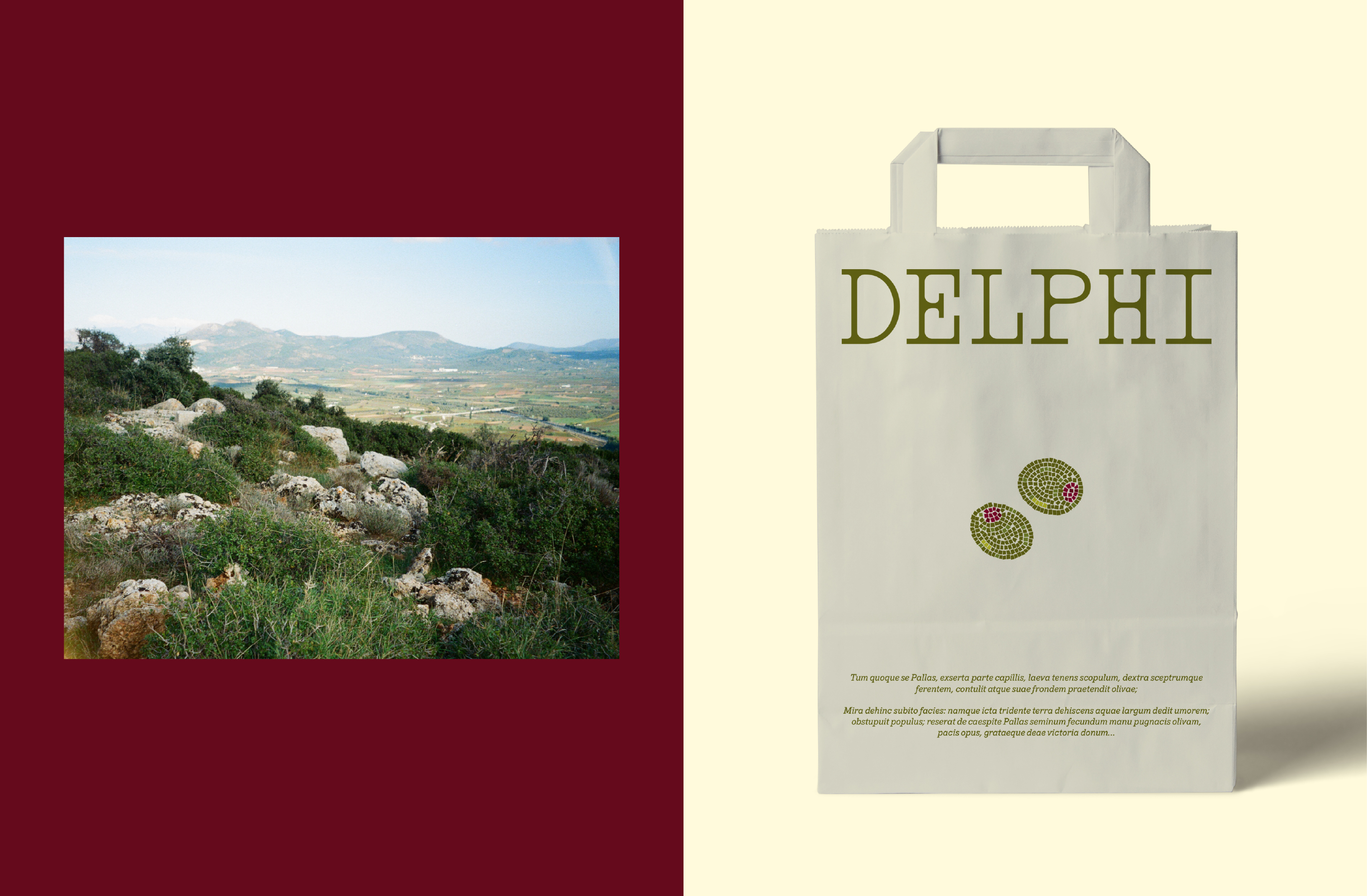 Упаковка оливкового масла "Delphi" — Изображение №9 — Брендинг, Графика на Dprofile
