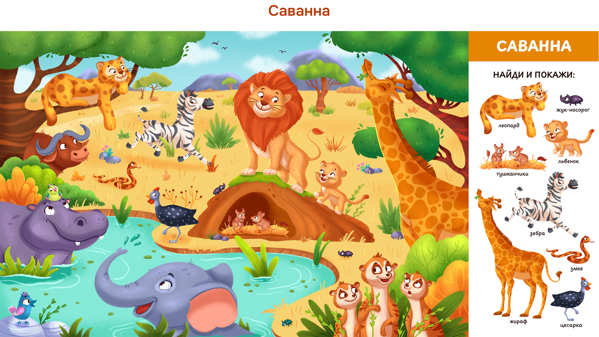 Иллюстрации для детской развивающей книги «Найди и Покажи» — Изображение №6 — Иллюстрация на Dprofile