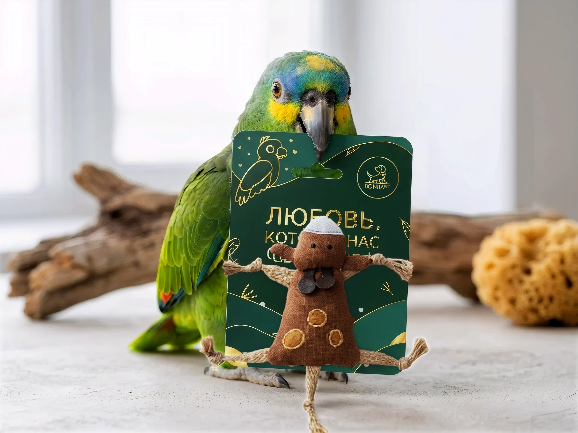 BONITA PET — Изображение №4 — Брендинг, Иллюстрация на Dprofile