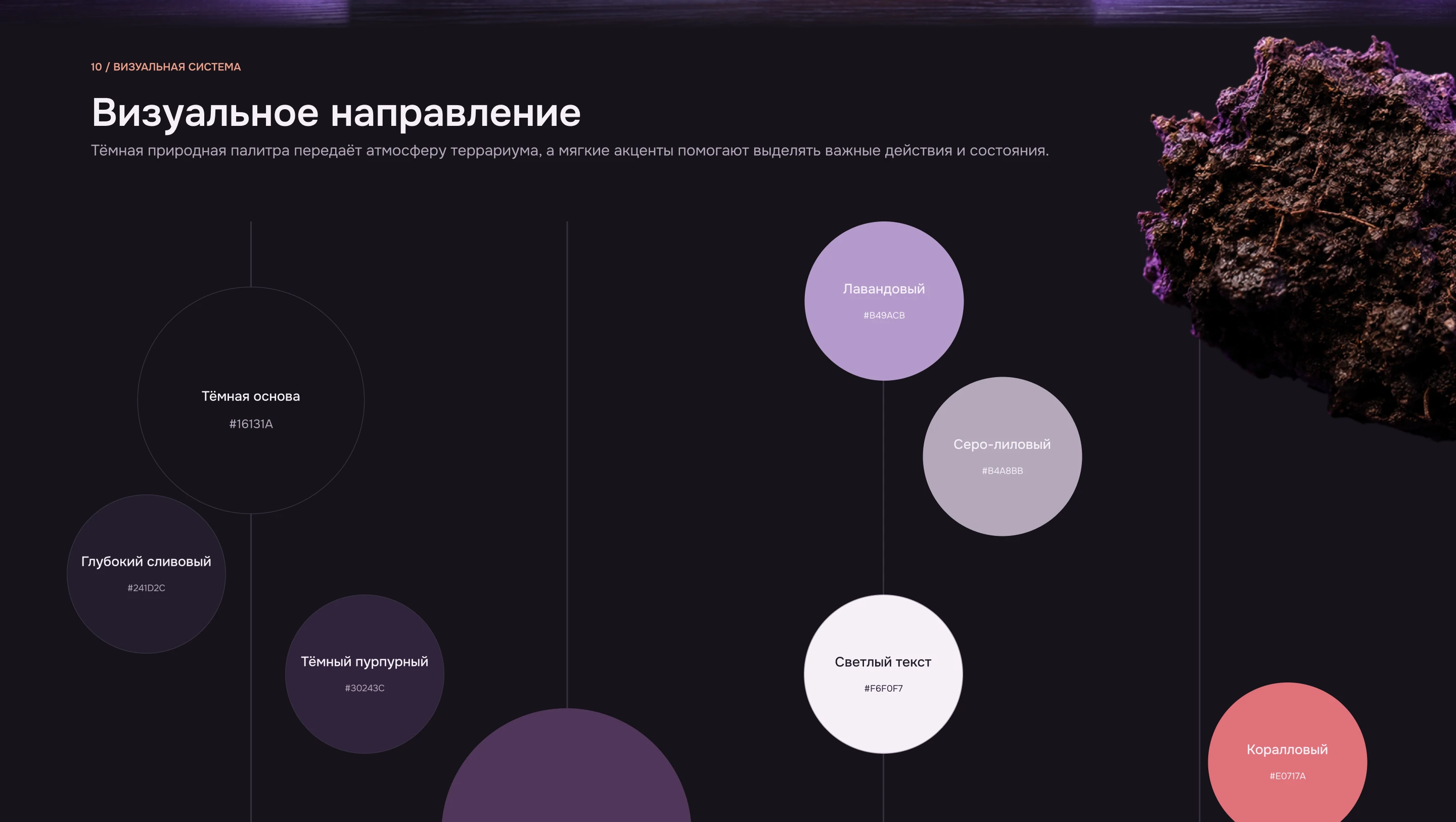 EXORA — Terrarium Pet Care App UX/UI Design — Изображение №11 — Интерфейсы на Dprofile