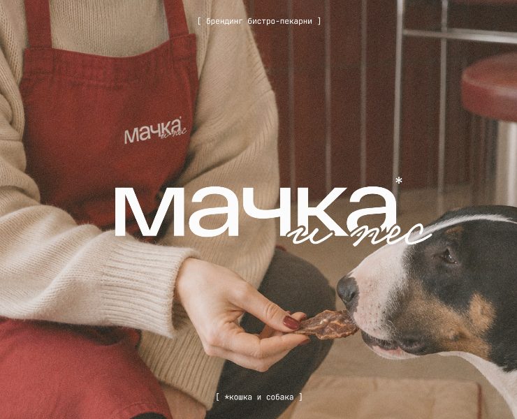 Mačka a pes брендинг бистро-пекарни — Интерфейсы, Брендинг на Dprofile