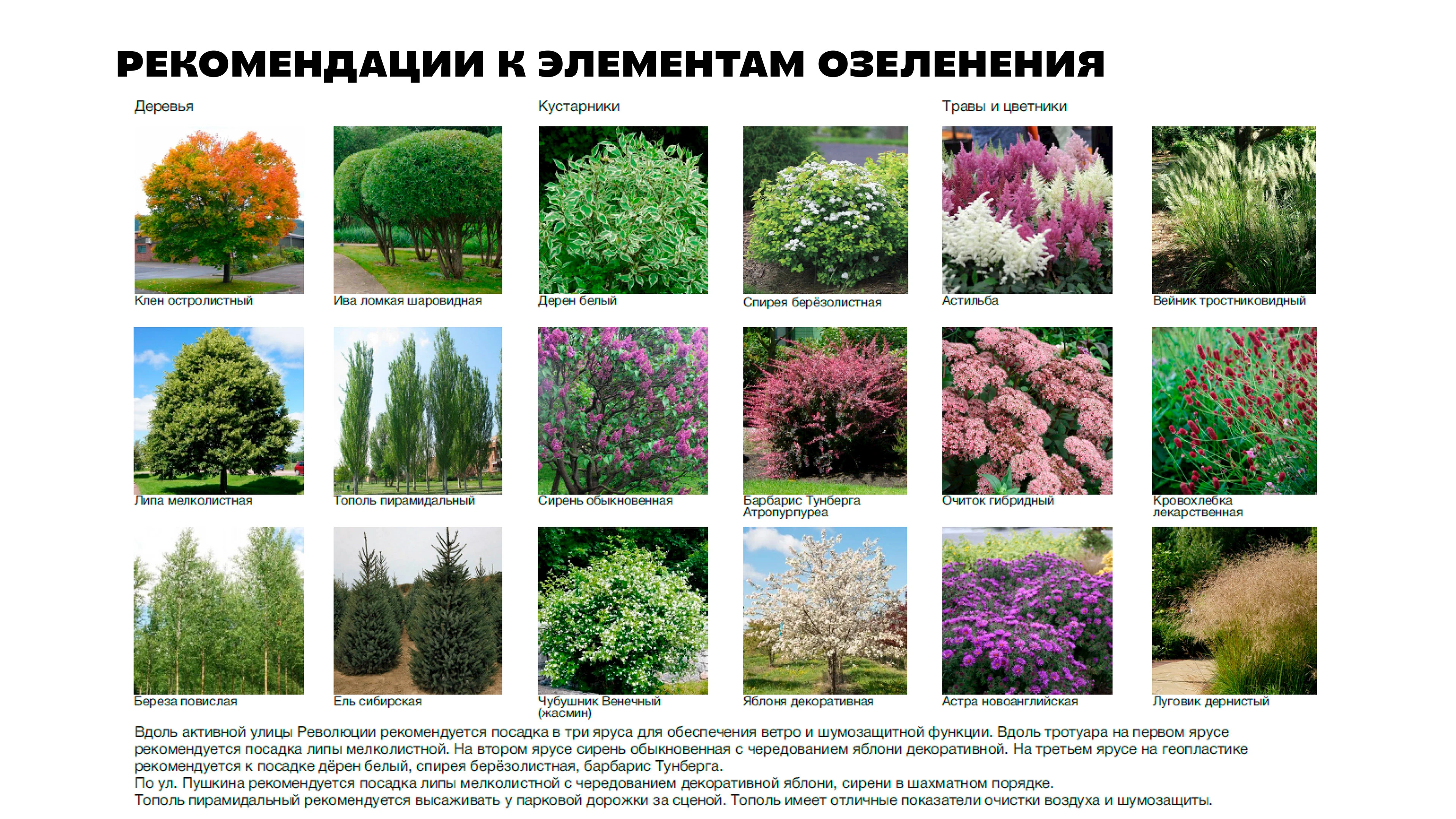 Концепция благоустройства сквера — Изображение №8 — Иллюстрация, 3D на Dprofile