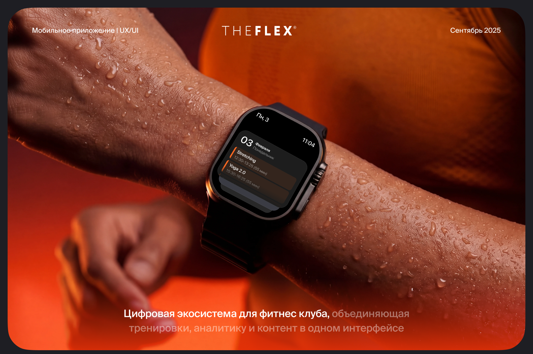 THE FLEX — Изображение №1 — Интерфейсы на Dprofile