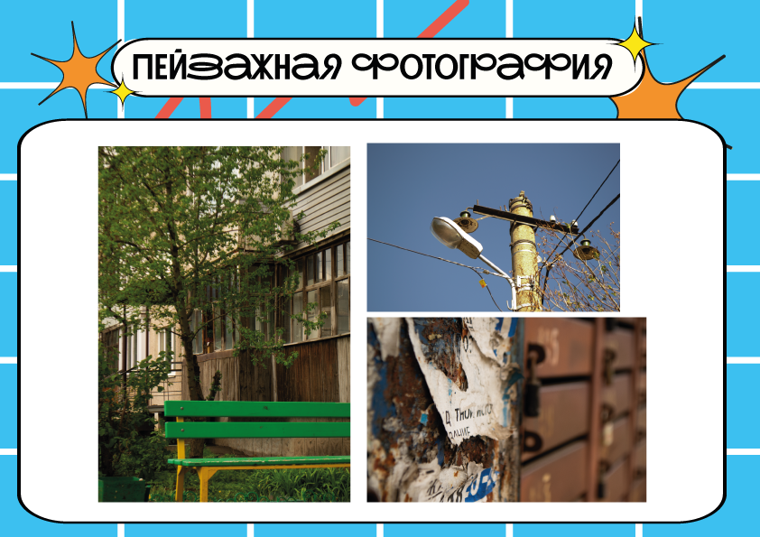 Портфолио графического дизайнера — Изображение №18 — Брендинг, Иллюстрация на Dprofile