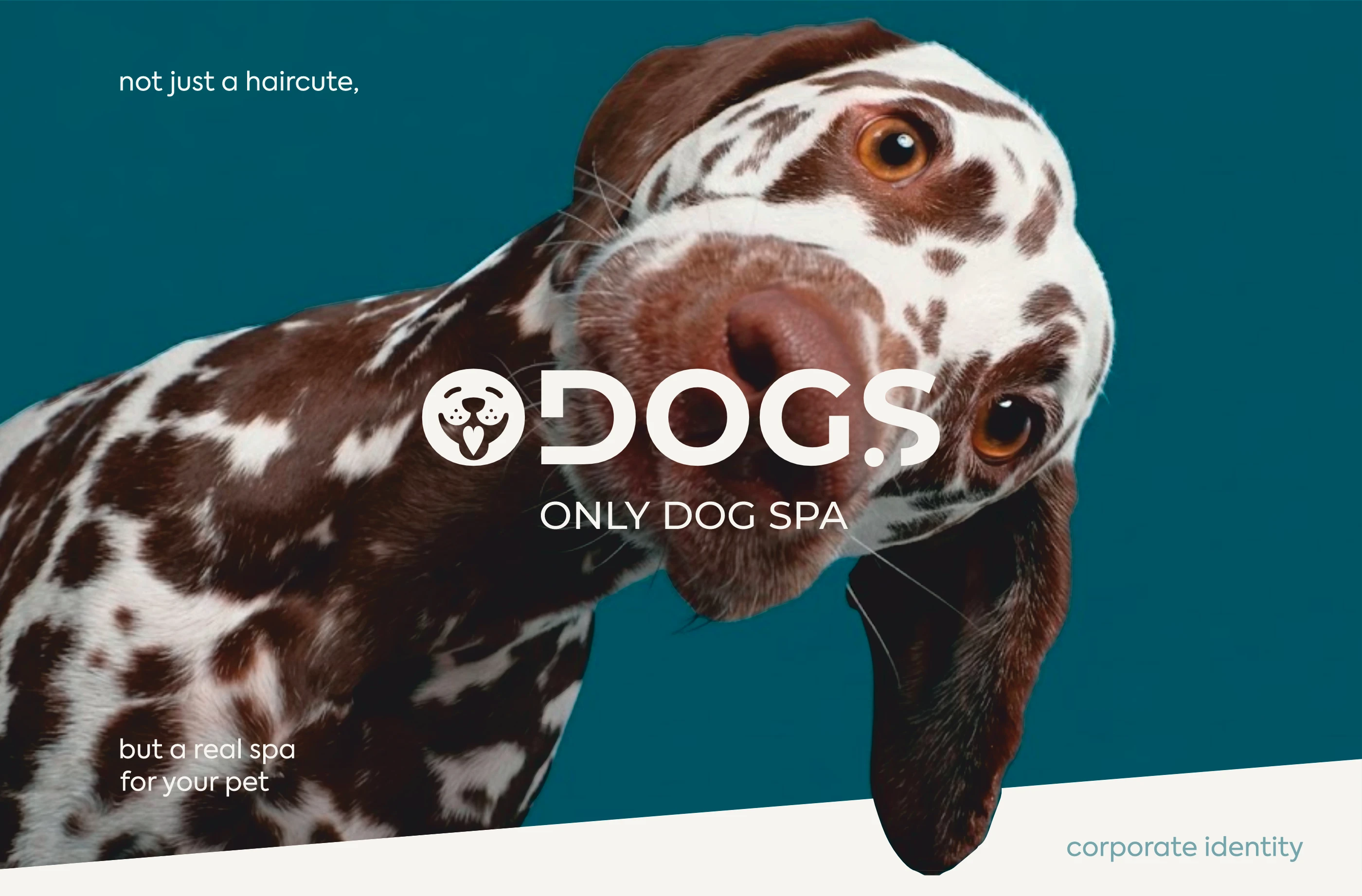 ODogS — айдентика | Dog Grooming Spa Identity — Изображение №1 — Брендинг на Dprofile