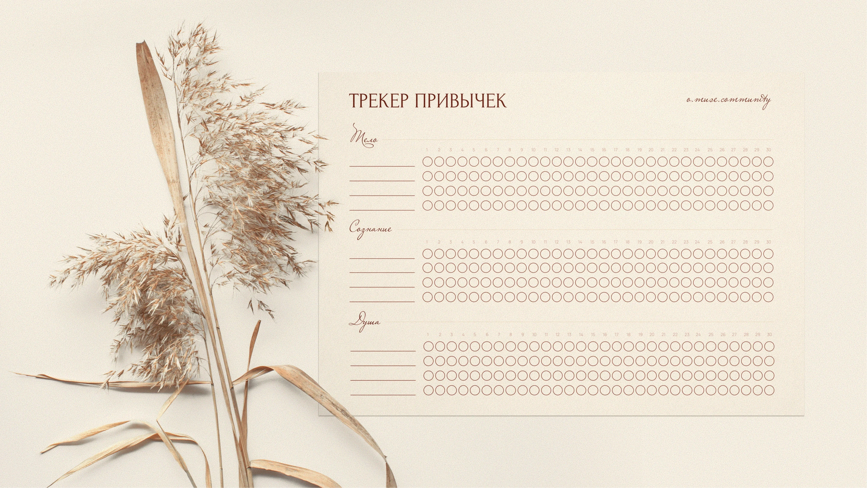 Фирменный стиль, логотип и сайт для женского клуба — Изображение №12 — Интерфейсы, Брендинг на Dprofile