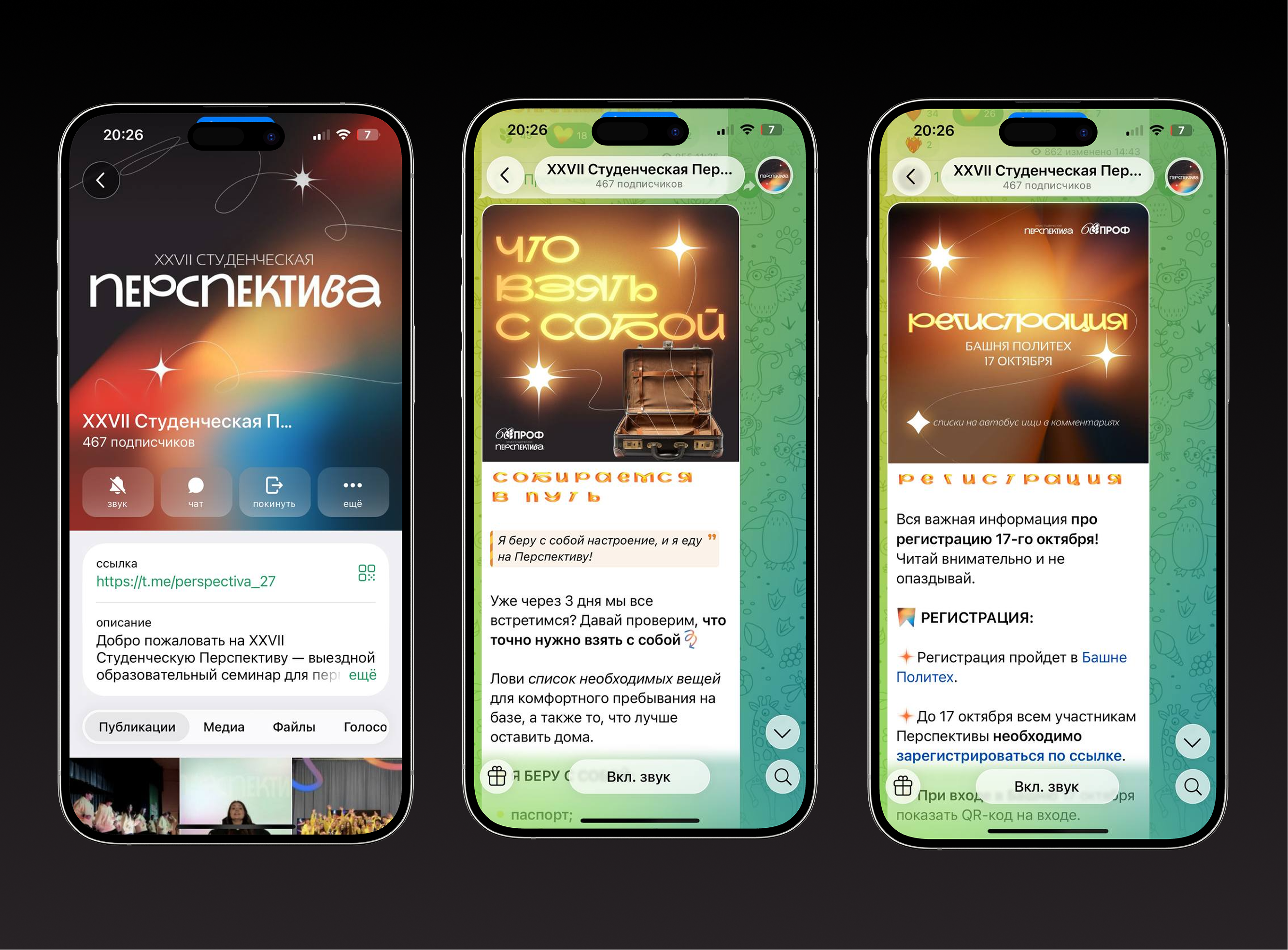 Event Design | Дизайн фестиваля для студентов — Изображение №15 — Брендинг, Маркетинг на Dprofile