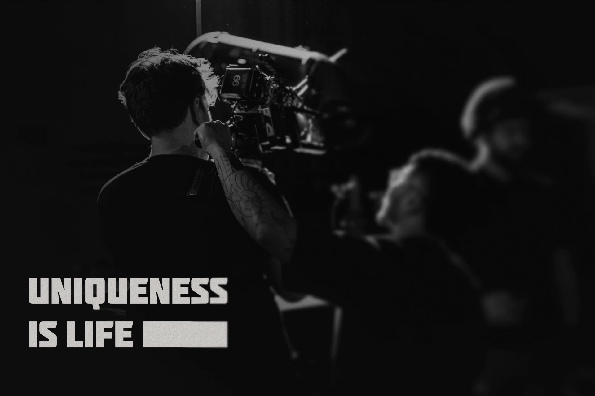 Vivid Horizon | brightness — Изображение №2 — Брендинг на Dprofile