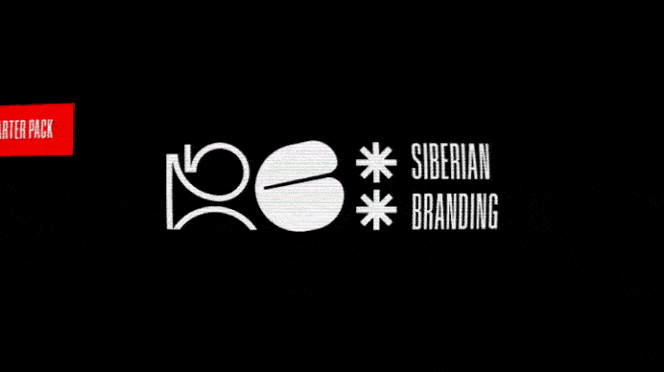 Сделали ***ный мерч для себя! — Изображение №1 — Брендинг на Dprofile