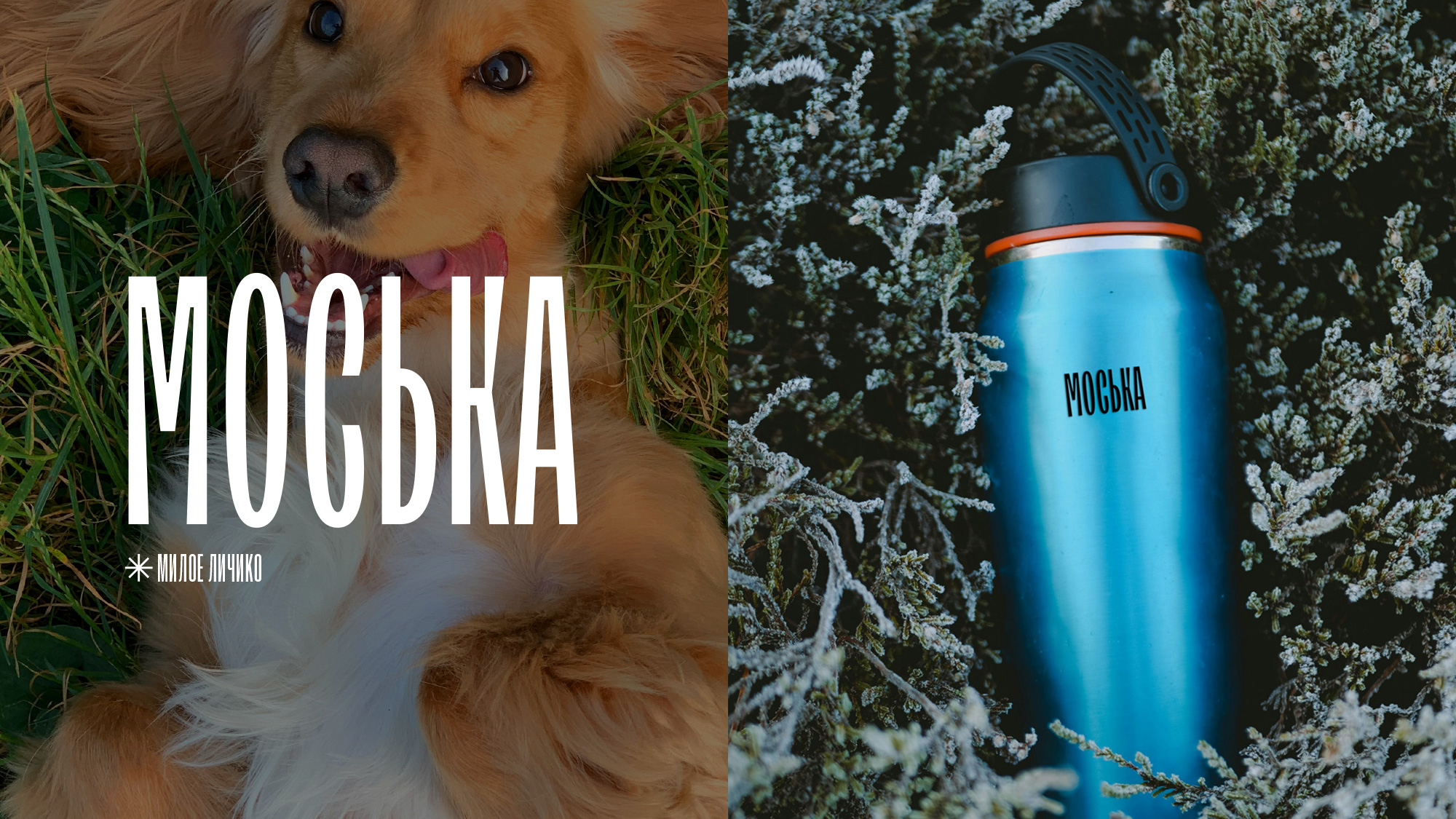 Сделали ***ный мерч для себя! — Изображение №19 — Брендинг на Dprofile