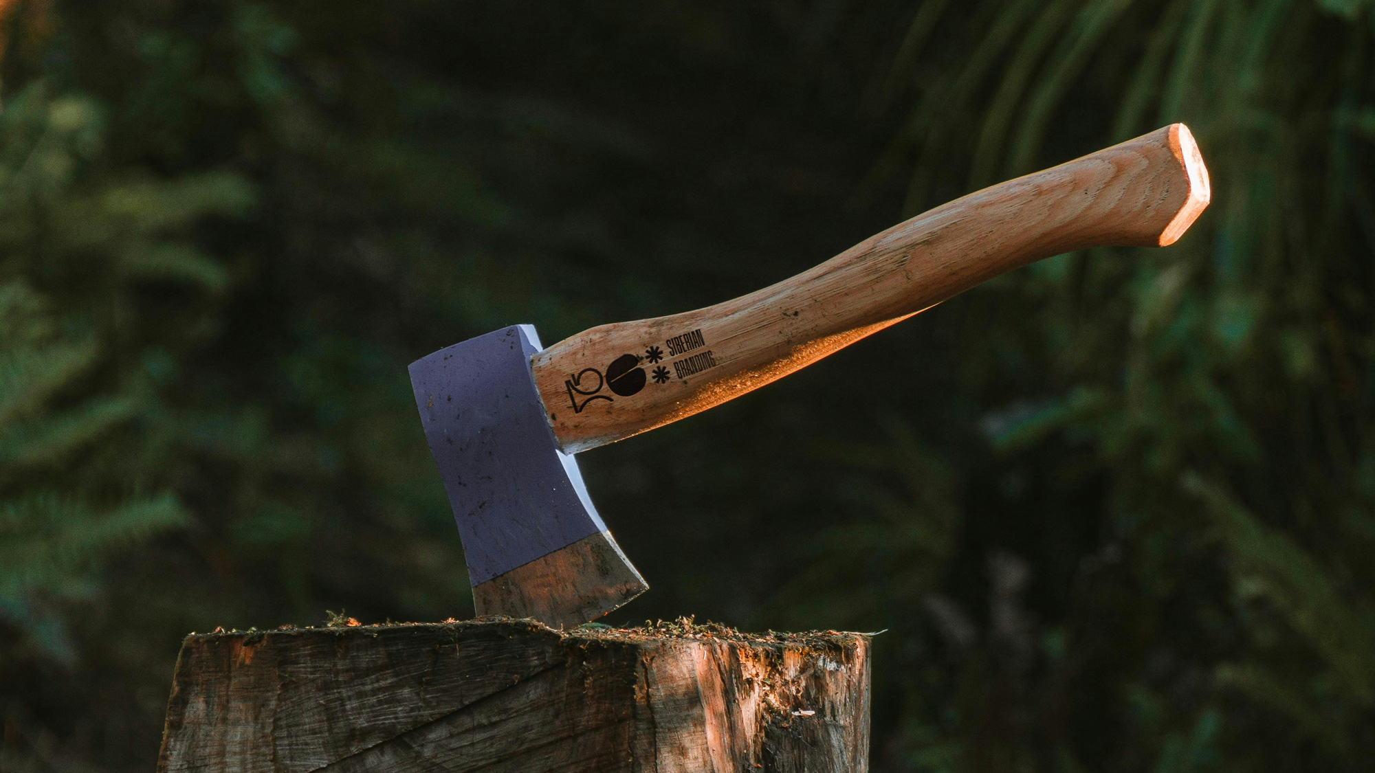 Сделали ***ный мерч для себя! — Изображение №18 — Брендинг на Dprofile