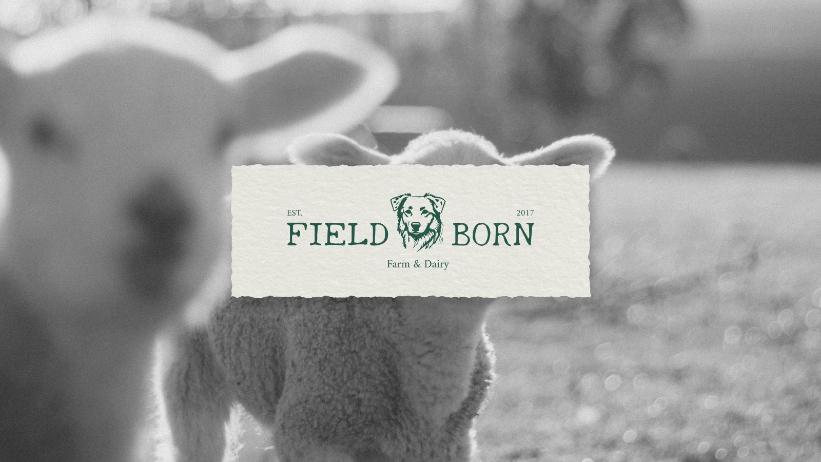 FIELDBORN // FARM BRAND IDENTITY — Изображение №1 — Брендинг на Dprofile