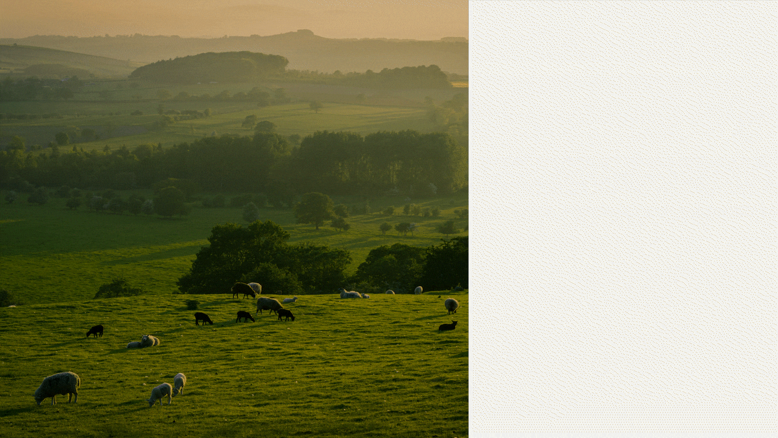 FIELDBORN // FARM BRAND IDENTITY — Изображение №5 — Брендинг на Dprofile