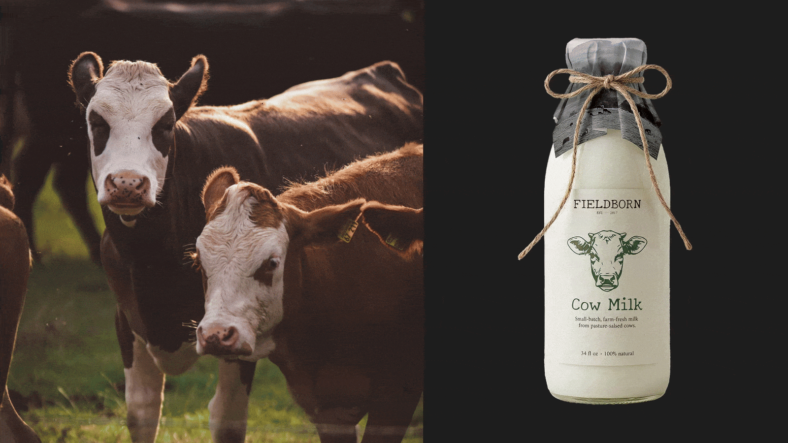 FIELDBORN // FARM BRAND IDENTITY — Изображение №7 — Брендинг на Dprofile