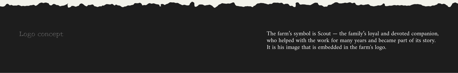 FIELDBORN // FARM BRAND IDENTITY — Изображение №4 — Брендинг на Dprofile