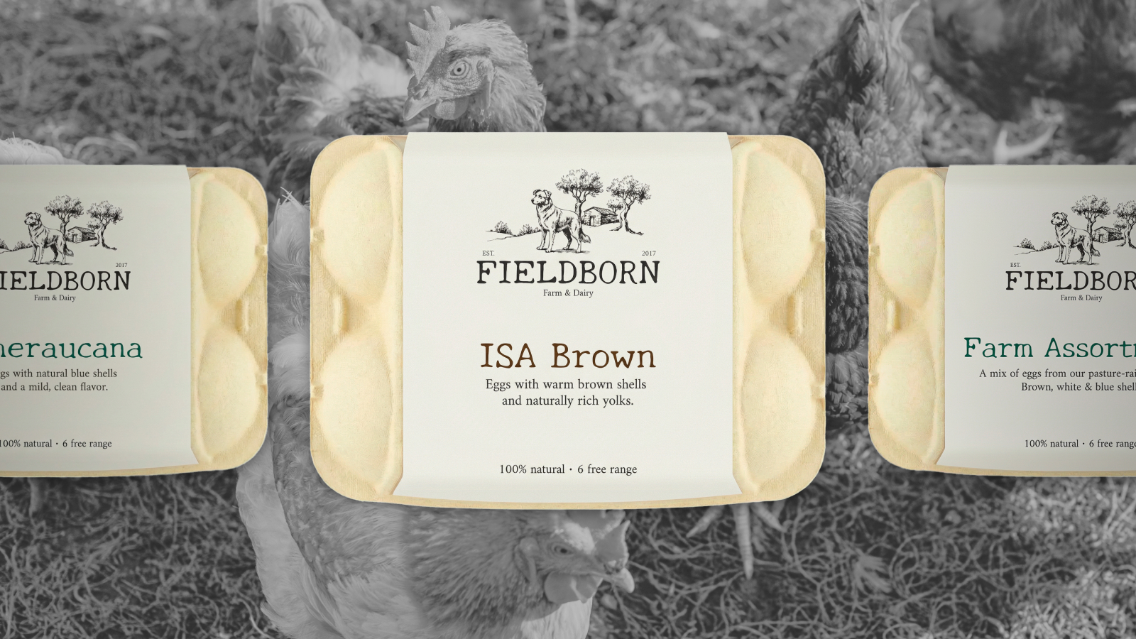 FIELDBORN // FARM BRAND IDENTITY — Изображение №6 — Брендинг на Dprofile