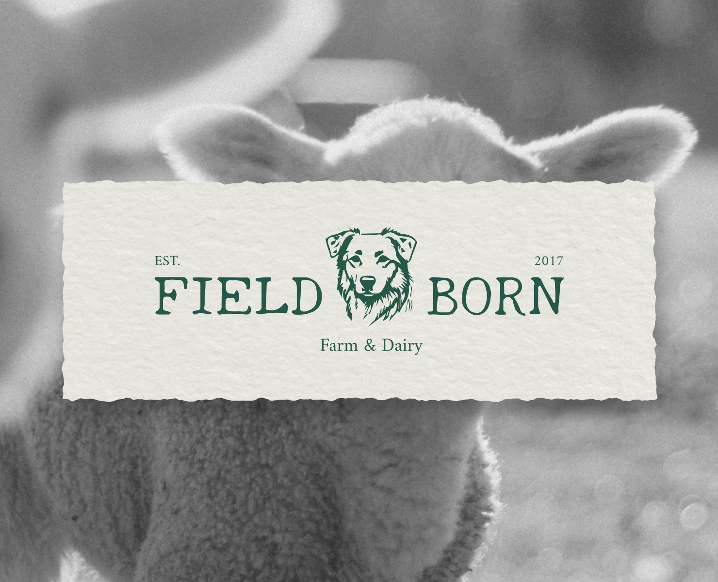 FIELDBORN // FARM BRAND IDENTITY на Dprofile