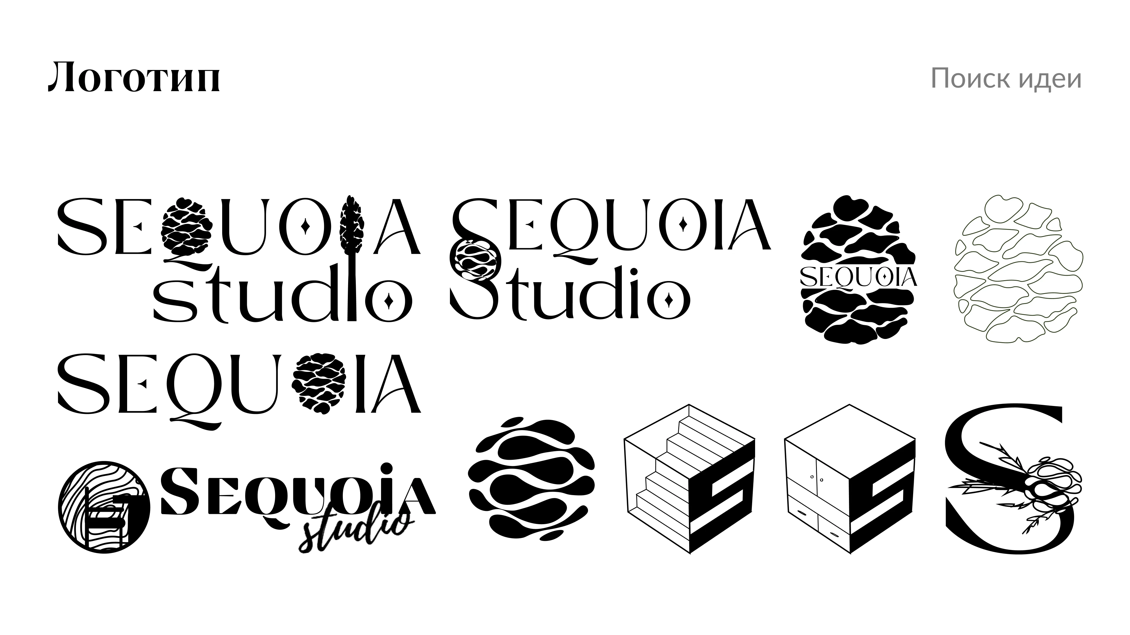 Фирменный стиль для мастерской Sequoia Studio, — Изображение №7 — Брендинг, Графика на Dprofile