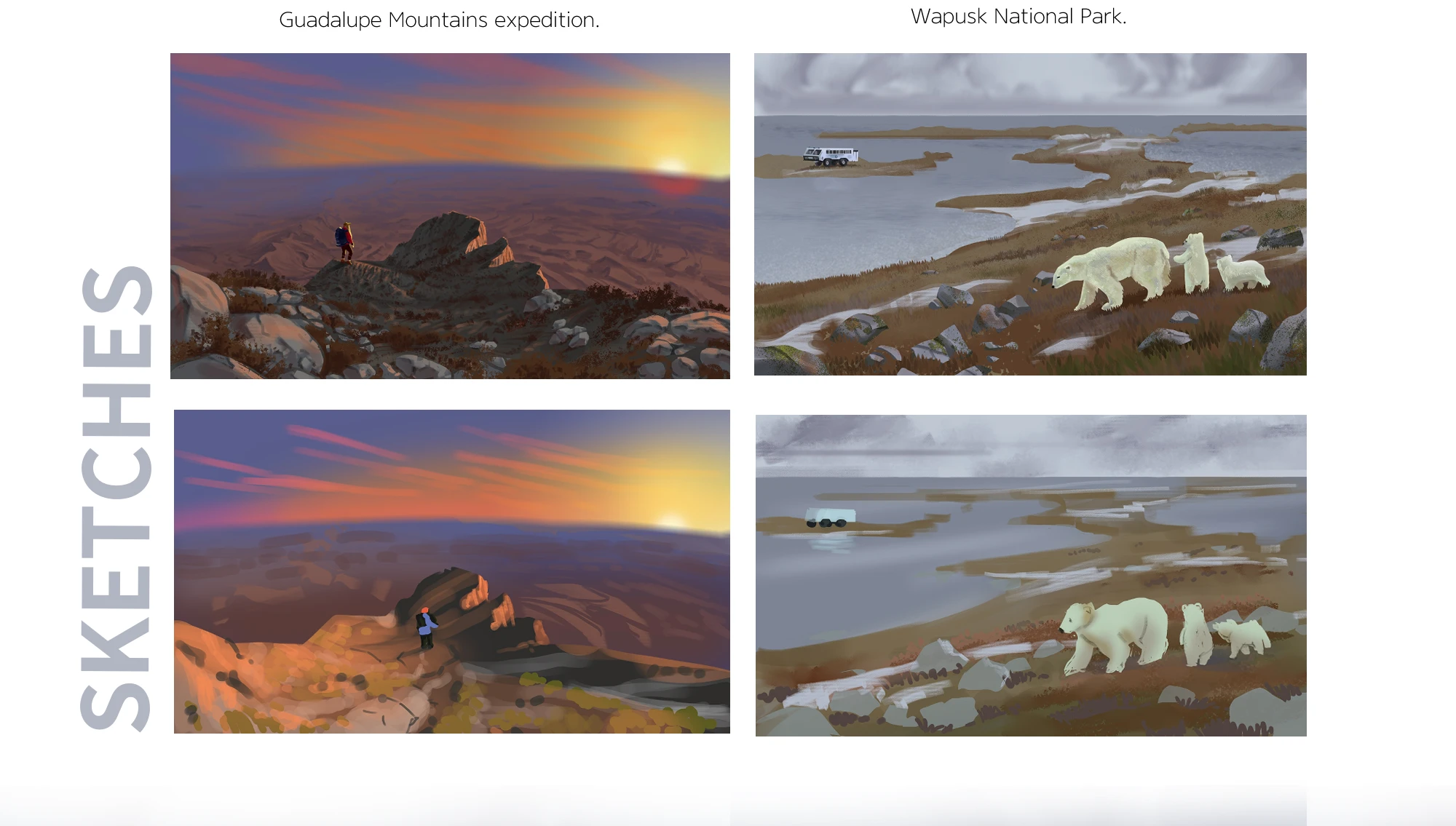 Photo Tour: Expeditions | Иллюстрации для настольной игры — Изображение №9 — Брендинг, Иллюстрация на Dprofile